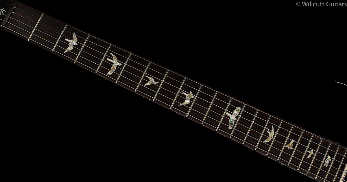 PRS Special Semi Hollow LTD Black Gold