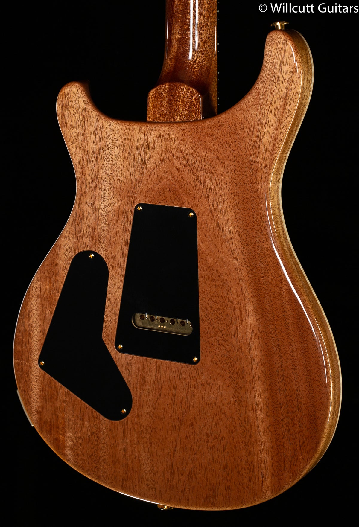 PRS 35th Anniversary Custom 24 Violet Artist Package