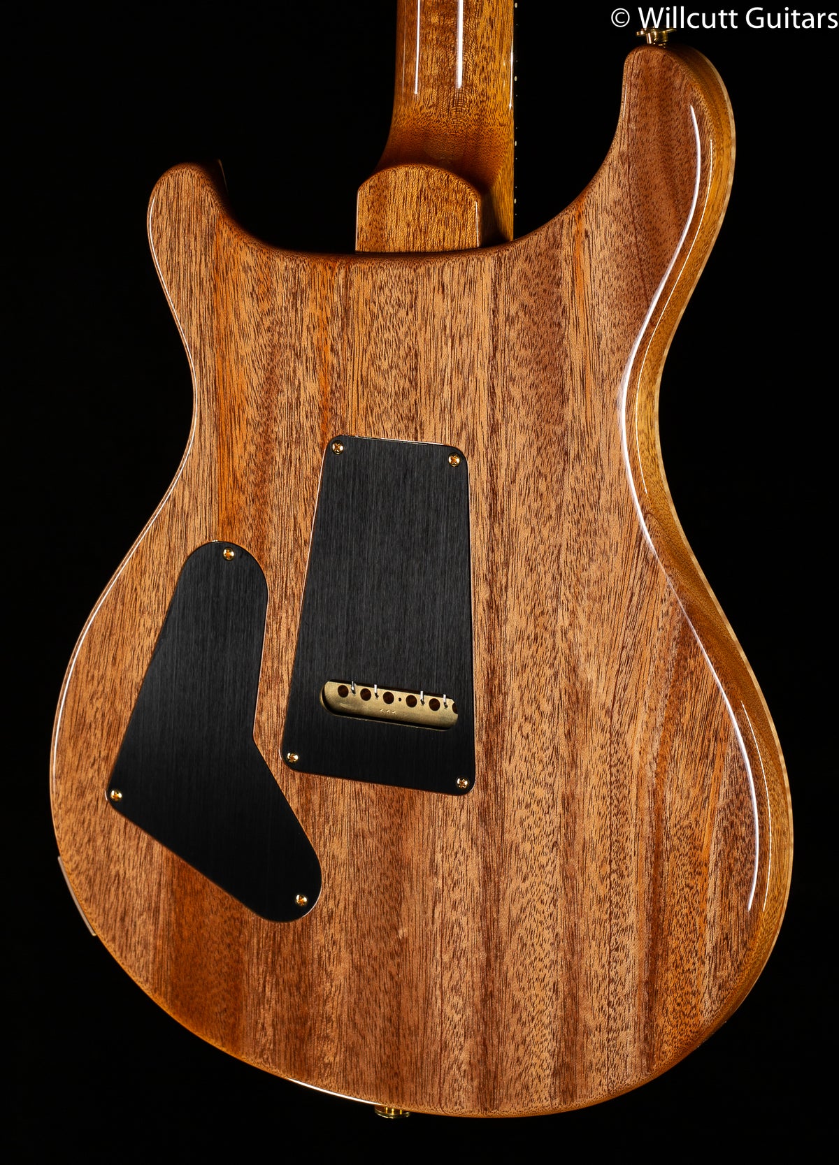 PRS 35th Anniversary Custom 24 River Blue Artist Package