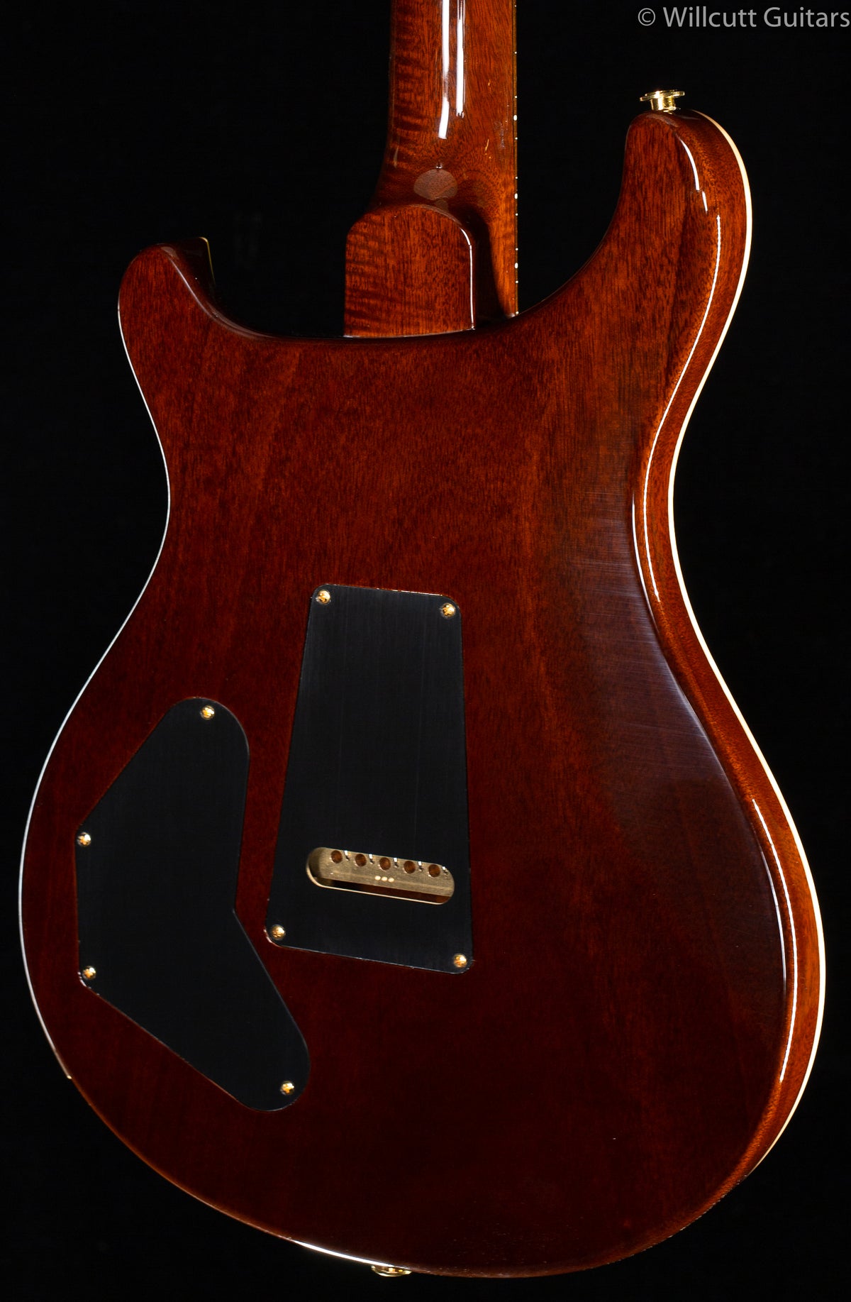 PRS Wood Library DGT Goldtop Brazilian Rosewood