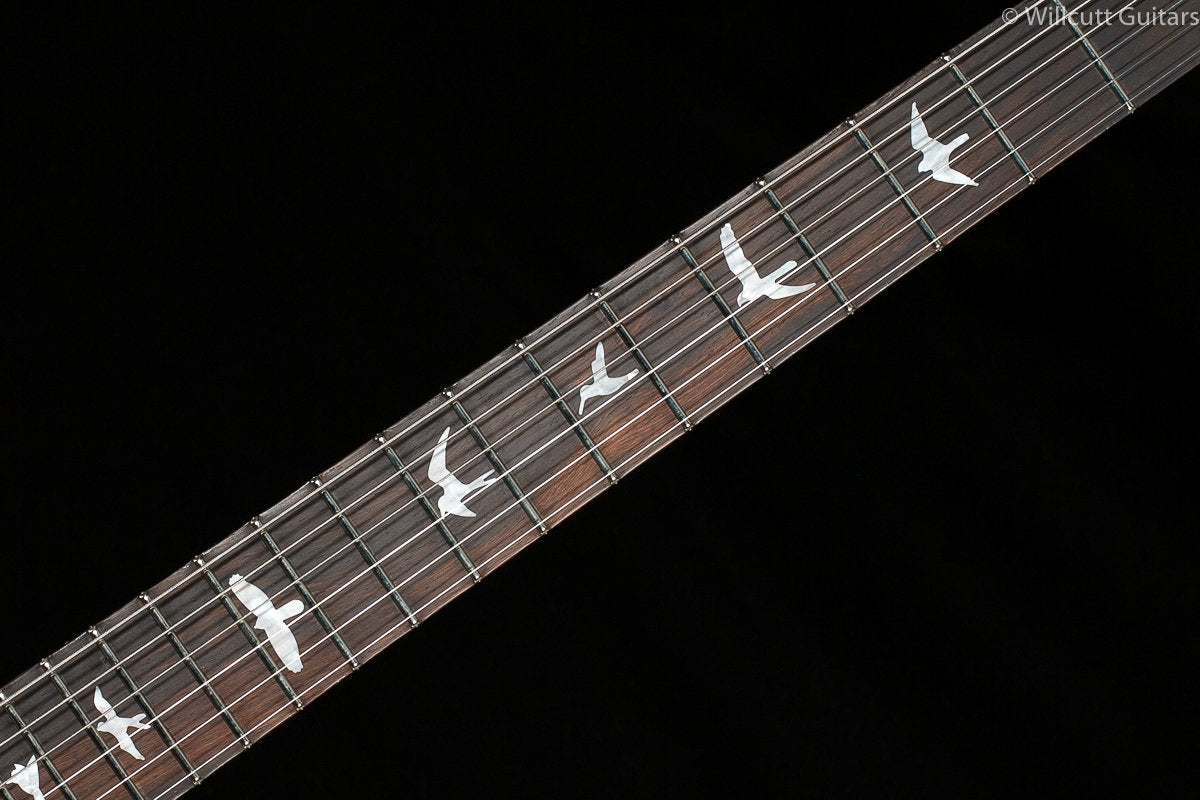 PRS Wood Library DGT Goldtop Brazilian Rosewood