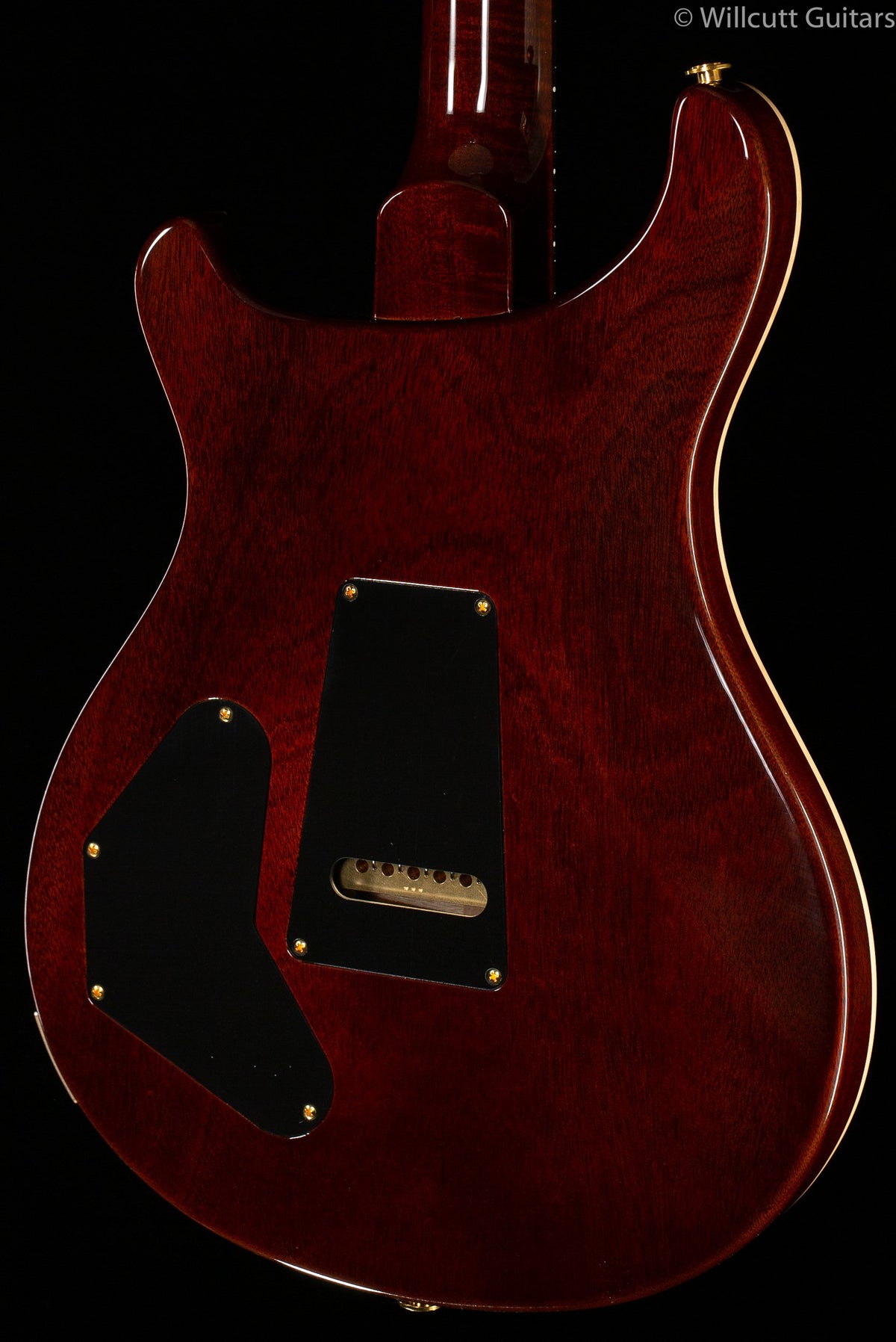 PRS Wood Library DGT Goldtop Brazilian Rosewood