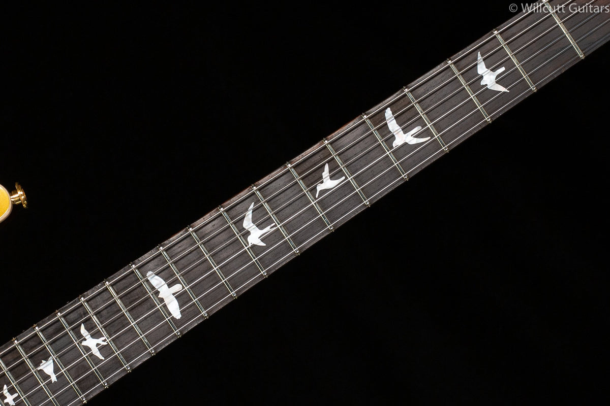 PRS Wood Library DGT Goldtop Brazilian Rosewood