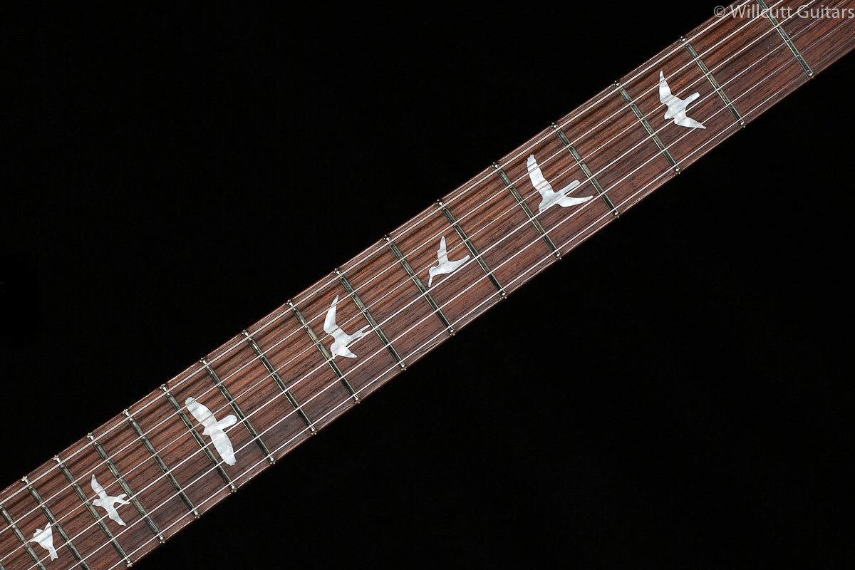 PRS Wood Library DGT Goldtop Brazilian Rosewood