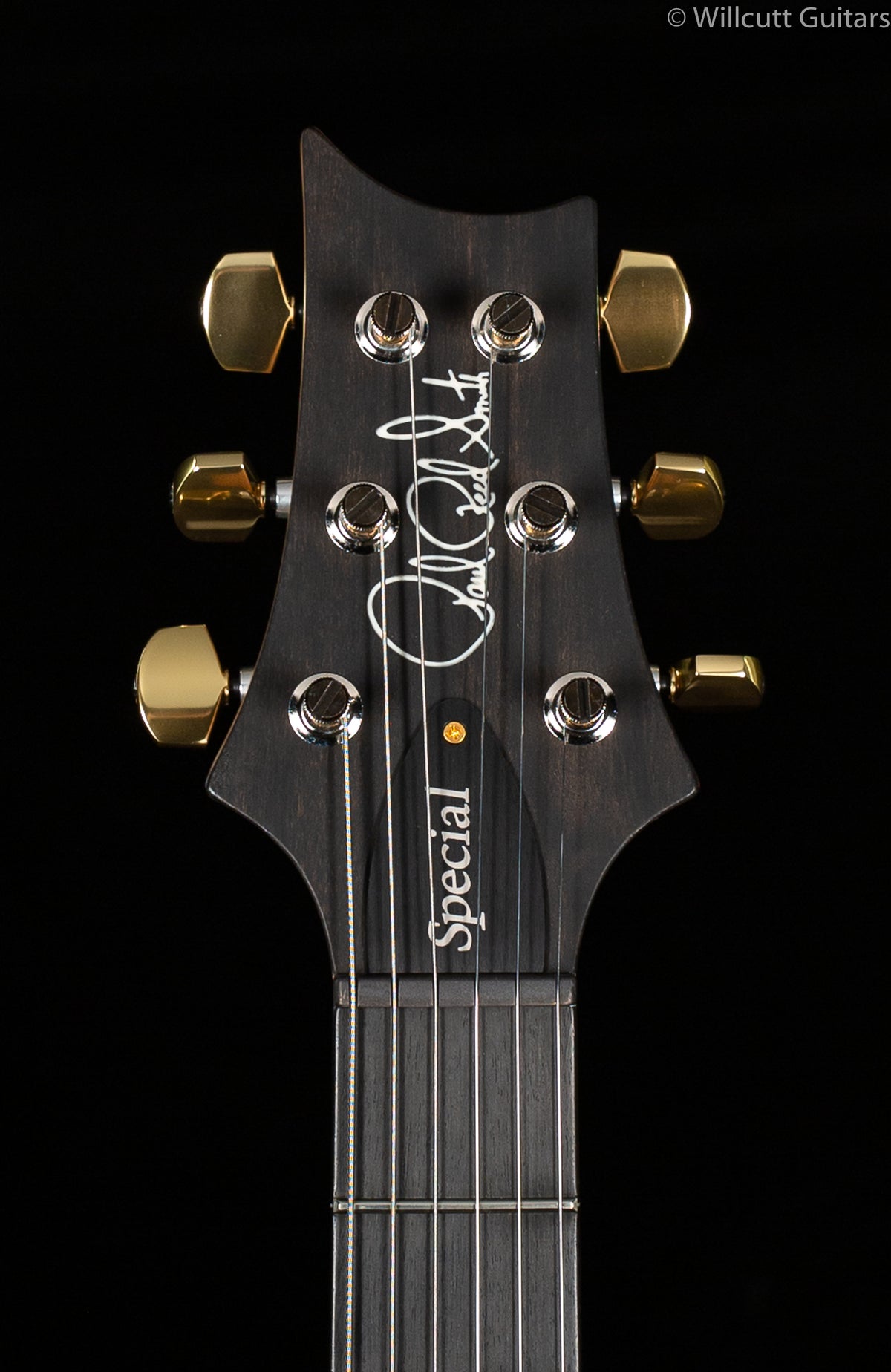 PRS Wood Library Special 22 Semi Hollow Red Tiger Torrefied Maple Neck