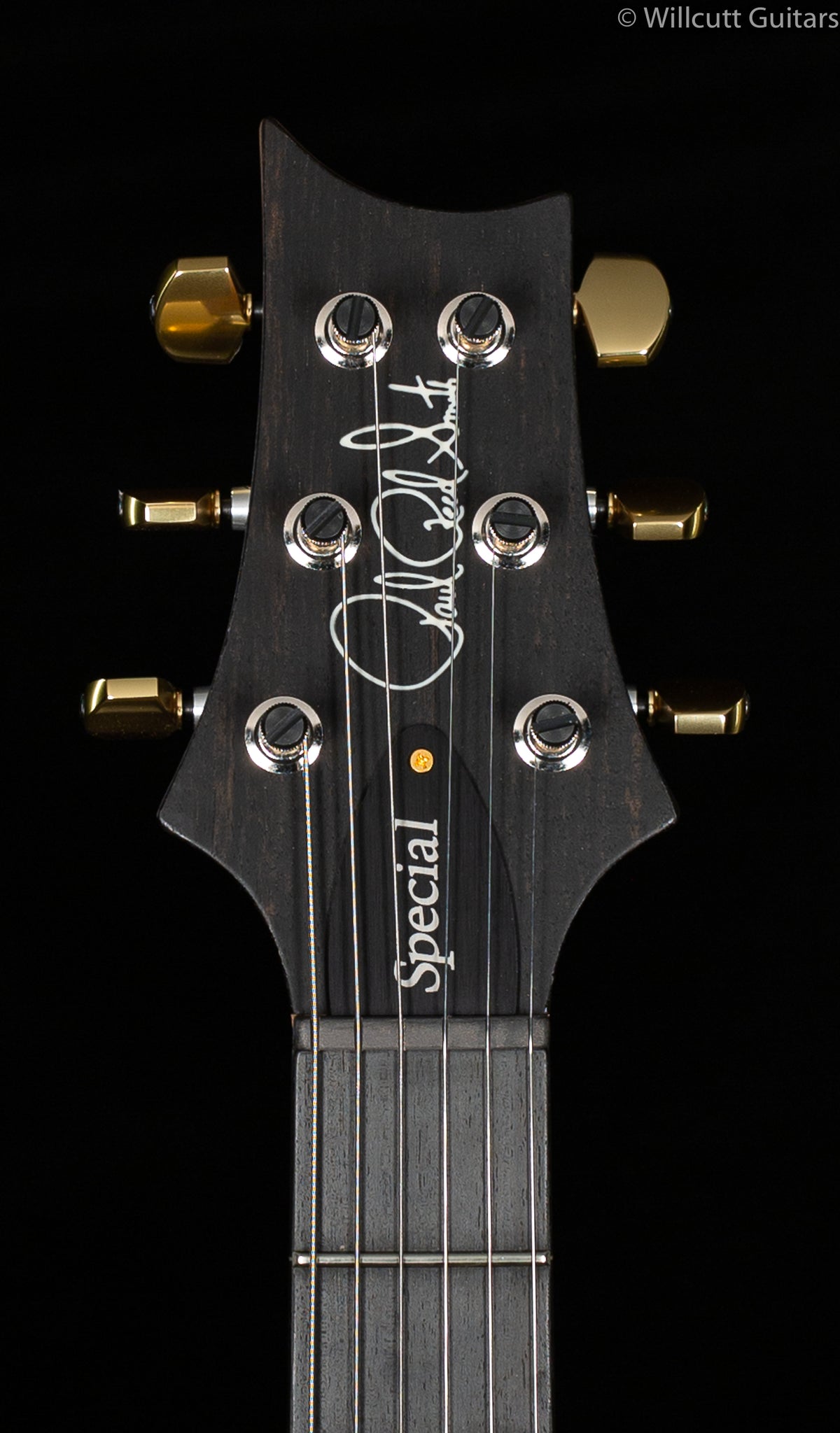 PRS Wood Library Special 22 Semi Hollow Red Tiger Torrefied Maple Neck