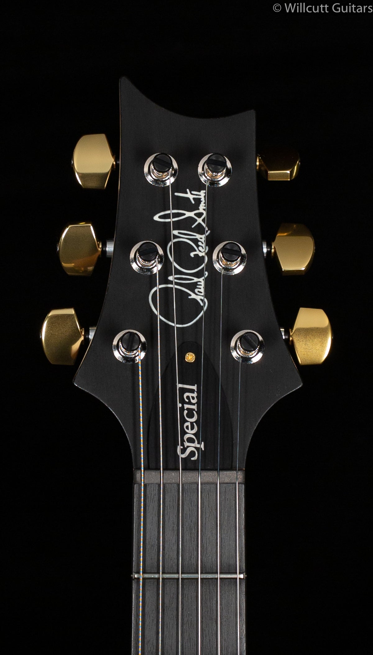 PRS Wood Library Special 22 Semi Hollow Powder Blue Torrified Maple Neck