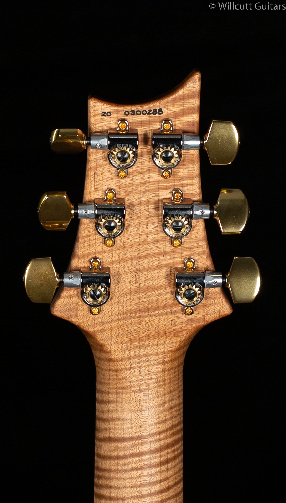 PRS Wood Library Special 22 Semi Hollow Powder Blue Torrified Maple Neck