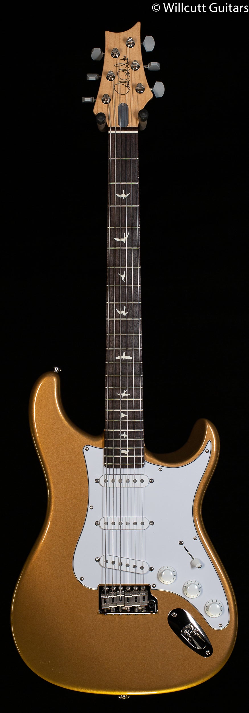 PRS John Mayer Silver Sky Golden Mesa Rosewood - Willcutt