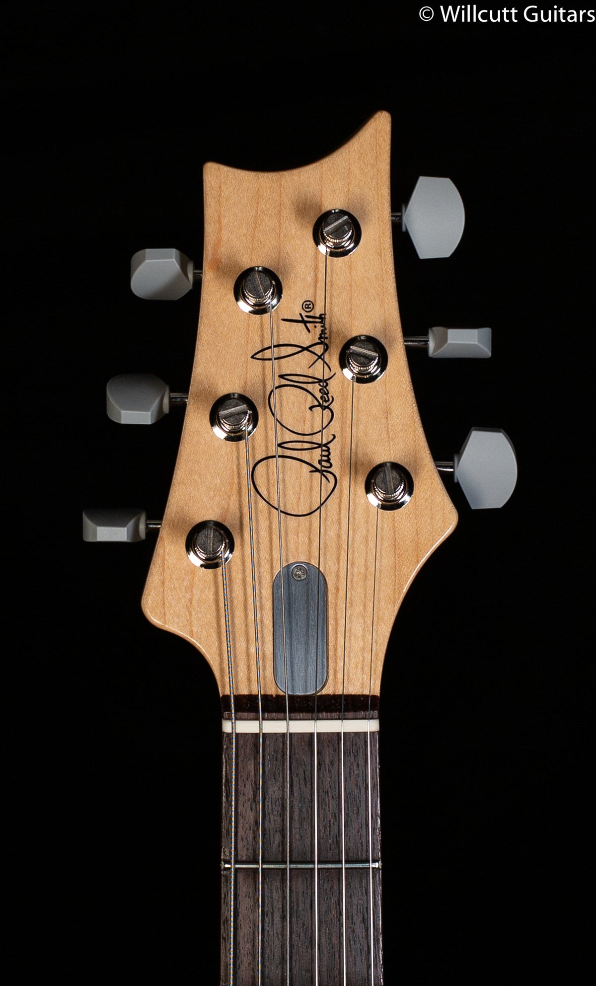 PRS John Mayer Silver Sky Golden Mesa Rosewood