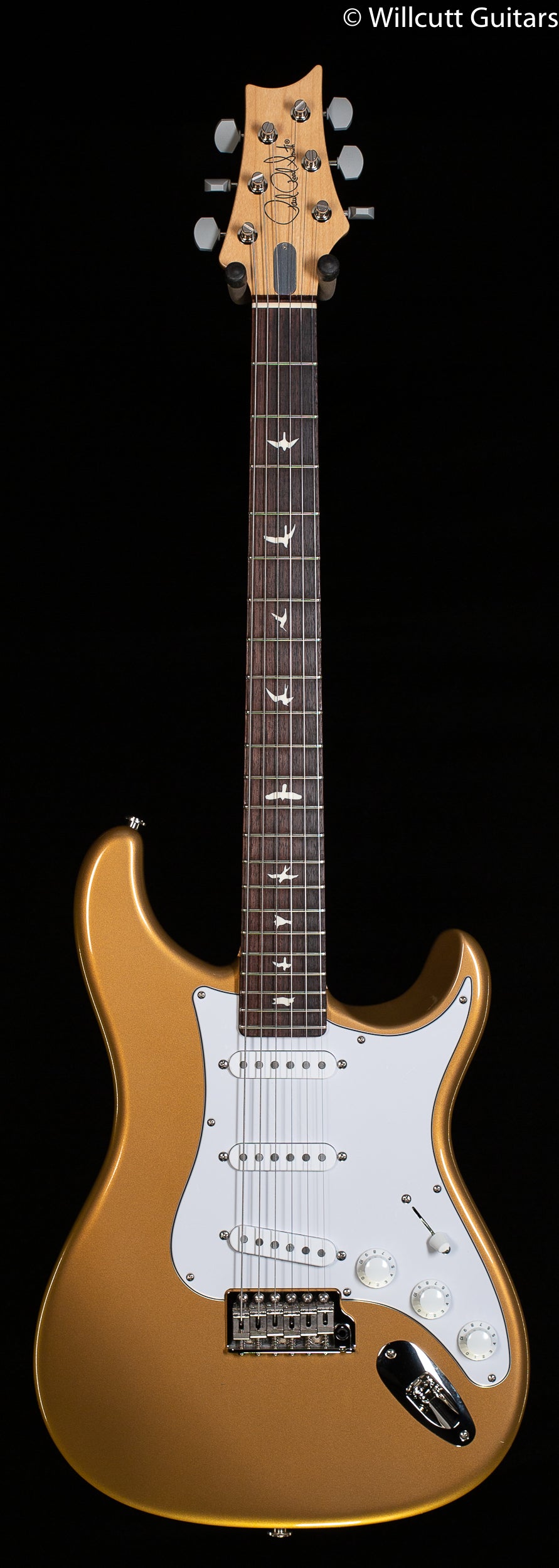 PRS Silver Sky John Mayer Signature Model Gold Mesa Maple Finger Board, Silver  Sky Scale Length