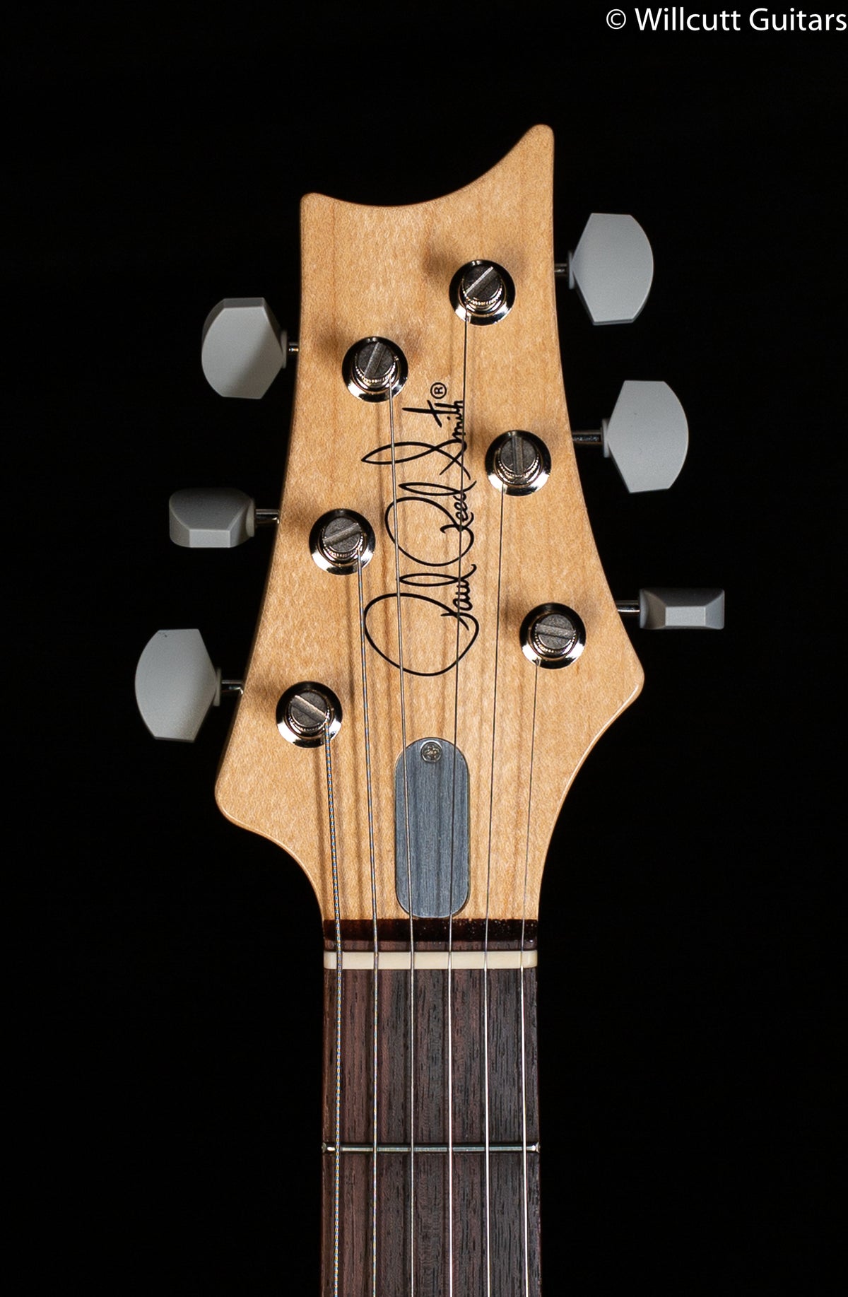 PRS John Mayer Silver Sky Golden Mesa Rosewood