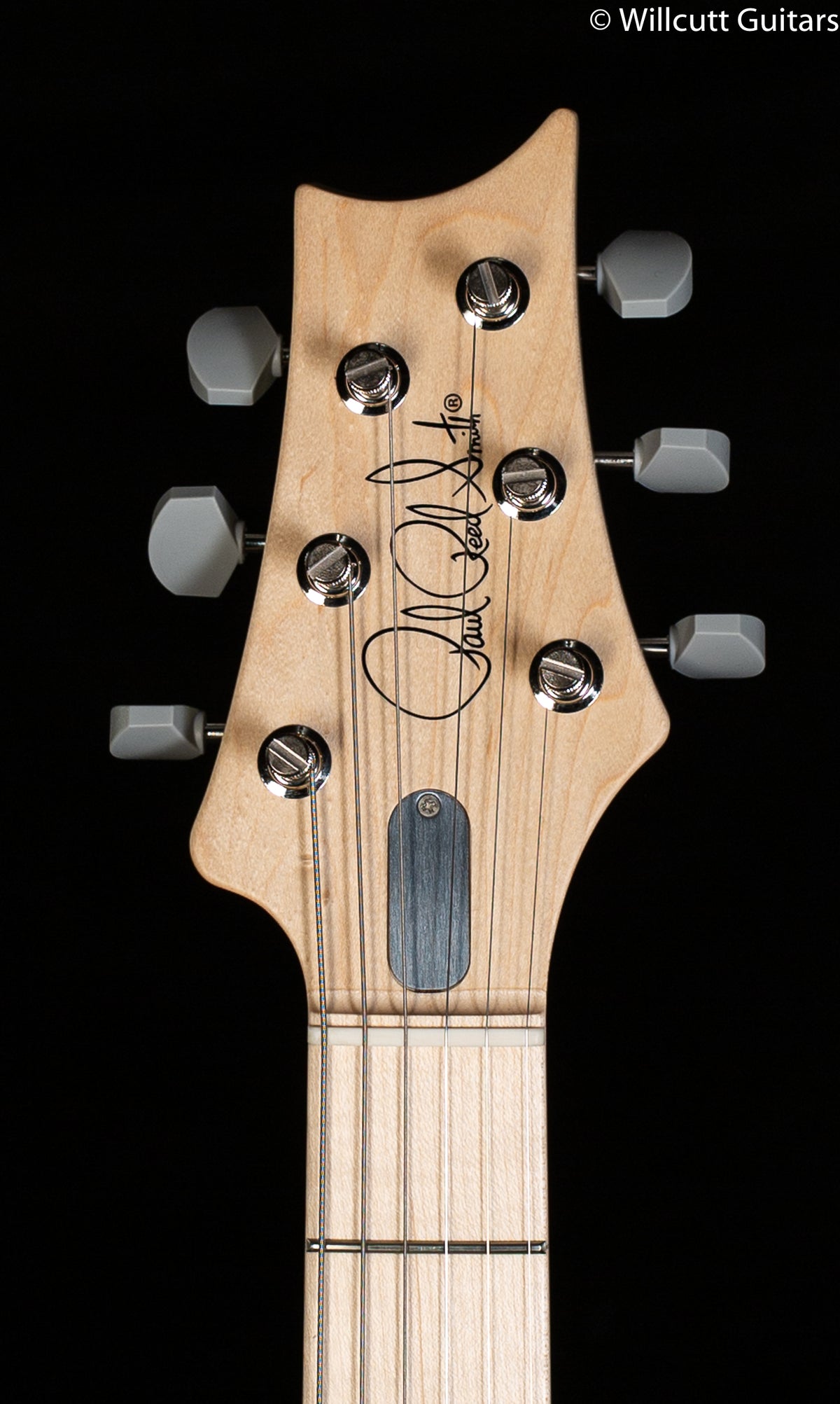 PRS John Mayer Silver Sky Orion Green Maple