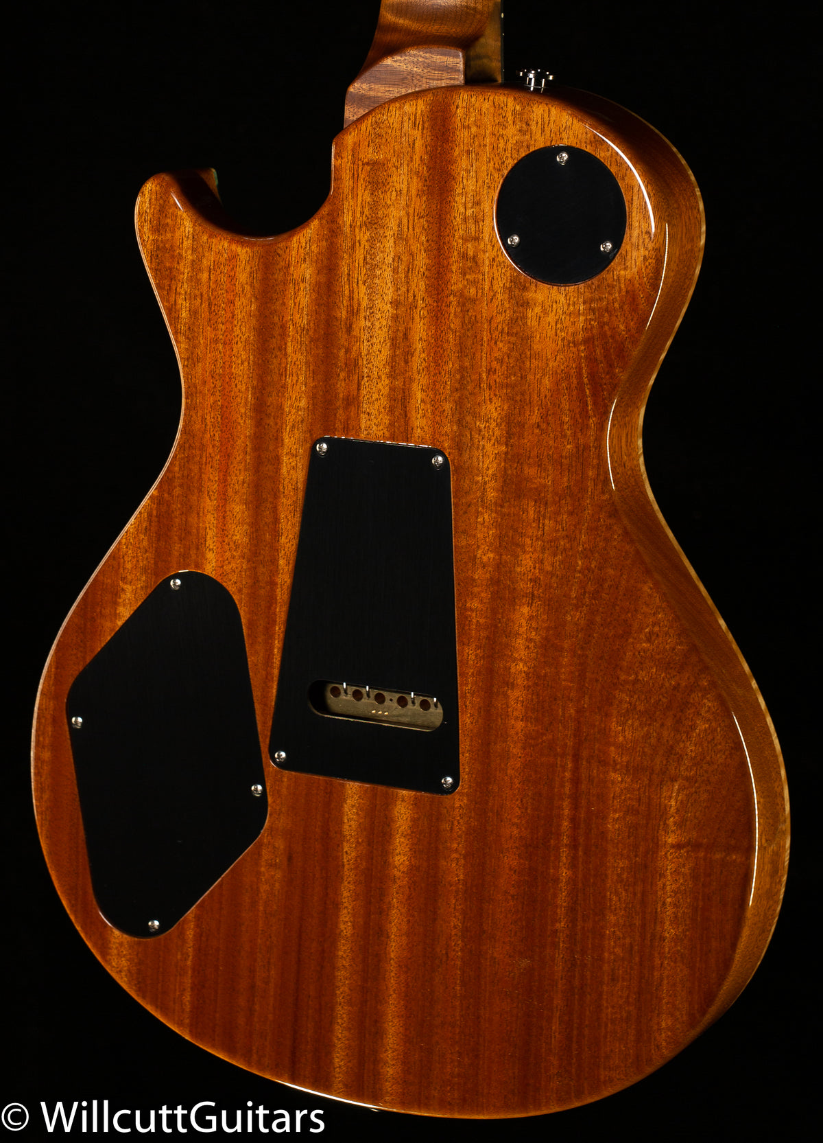 PRS Tremonti Wood Library Edition River Blue Roasted Maple 10 Top