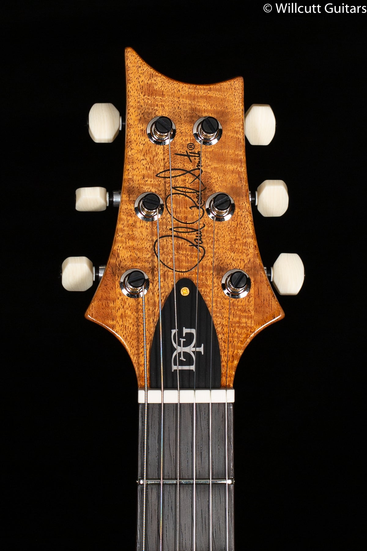 PRS DGT Wood Library Edition Charcoal Brazilian Fretboard