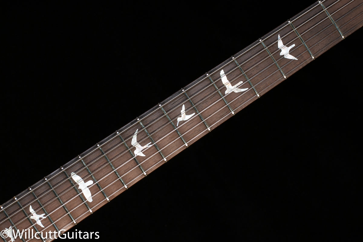 PRS Wood Library DGT Goldtop Brazilian Rosewood