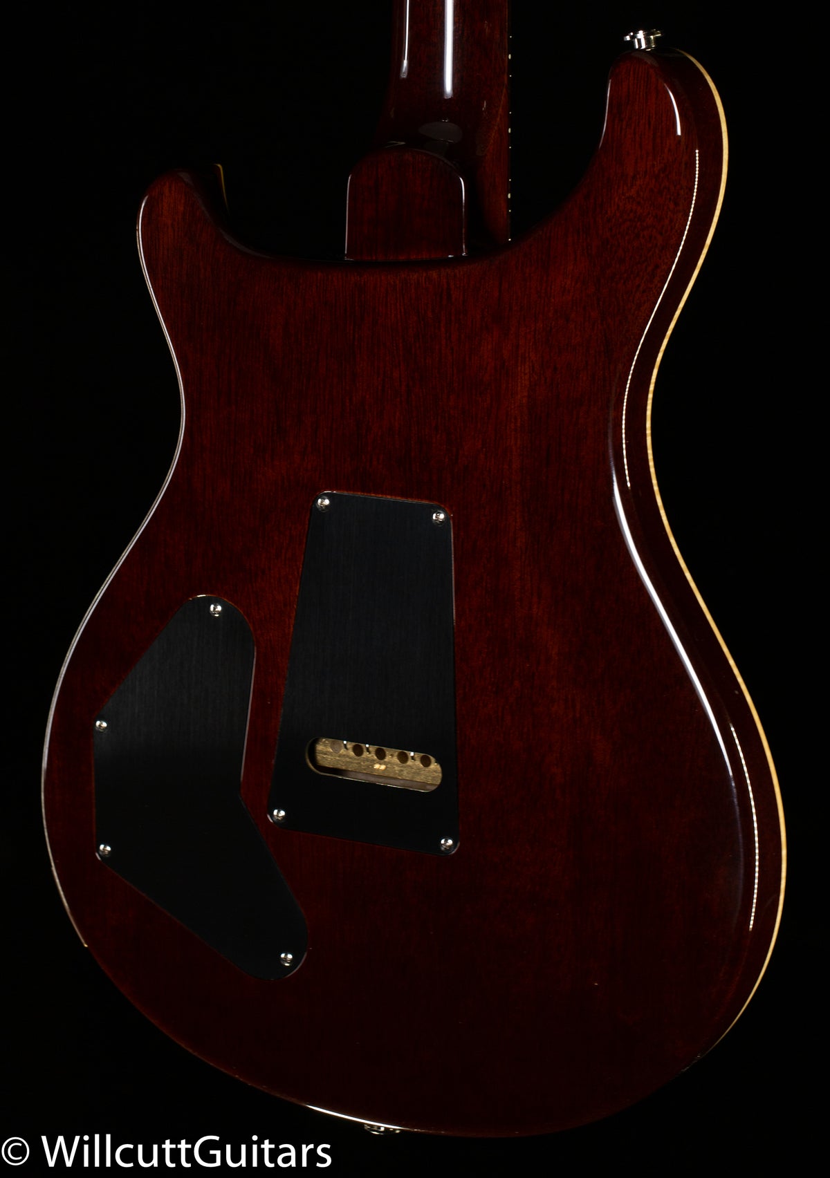 PRS DGT Gold Top Birds