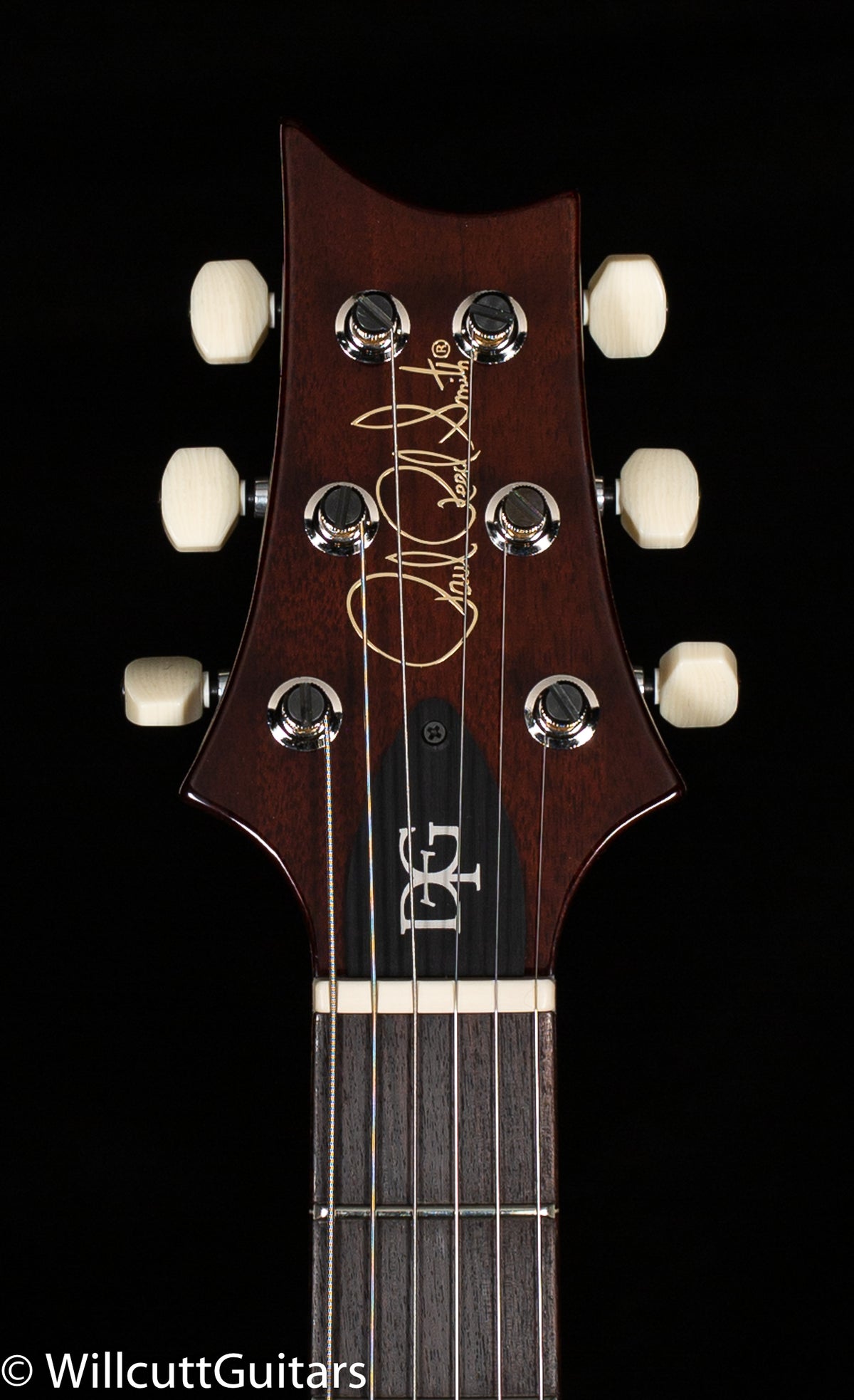 PRS DGT Gold Top Birds