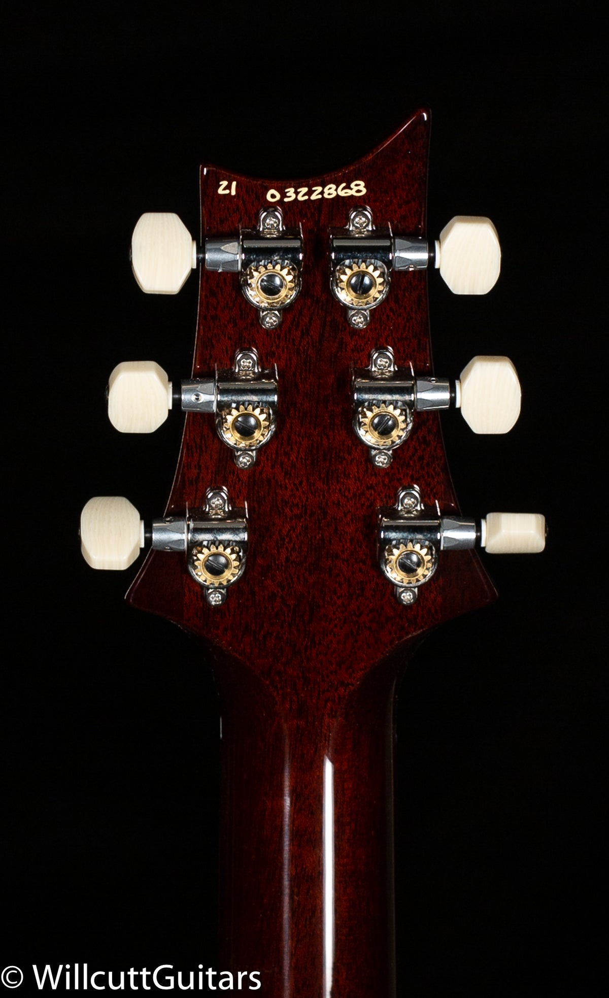PRS DGT Gold Top Birds