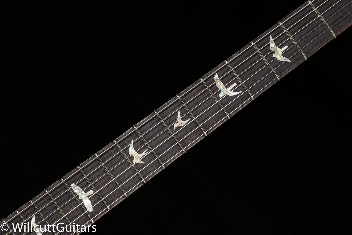 PRS DGT Gold Top Birds