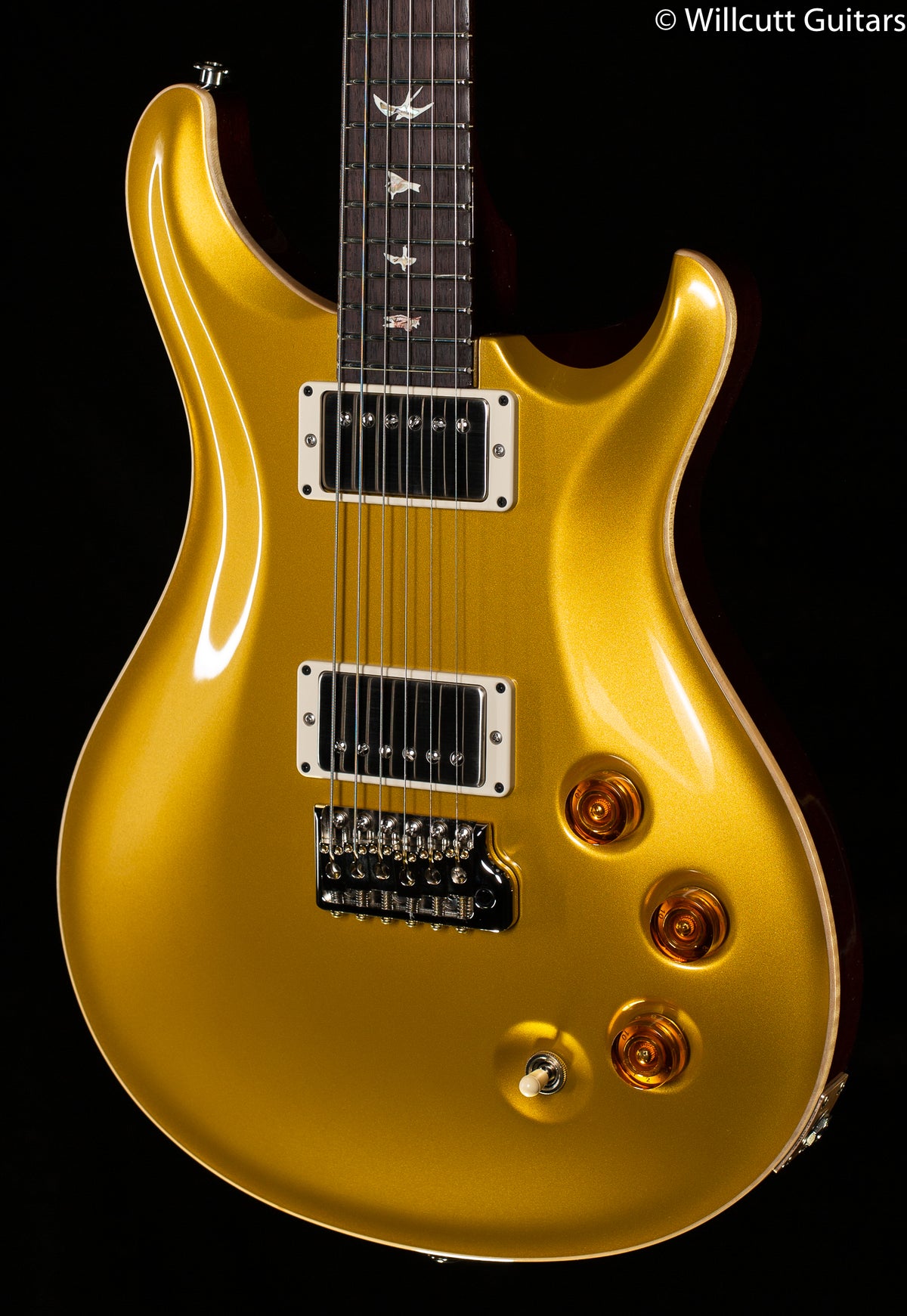 PRS DGT Gold Top Birds