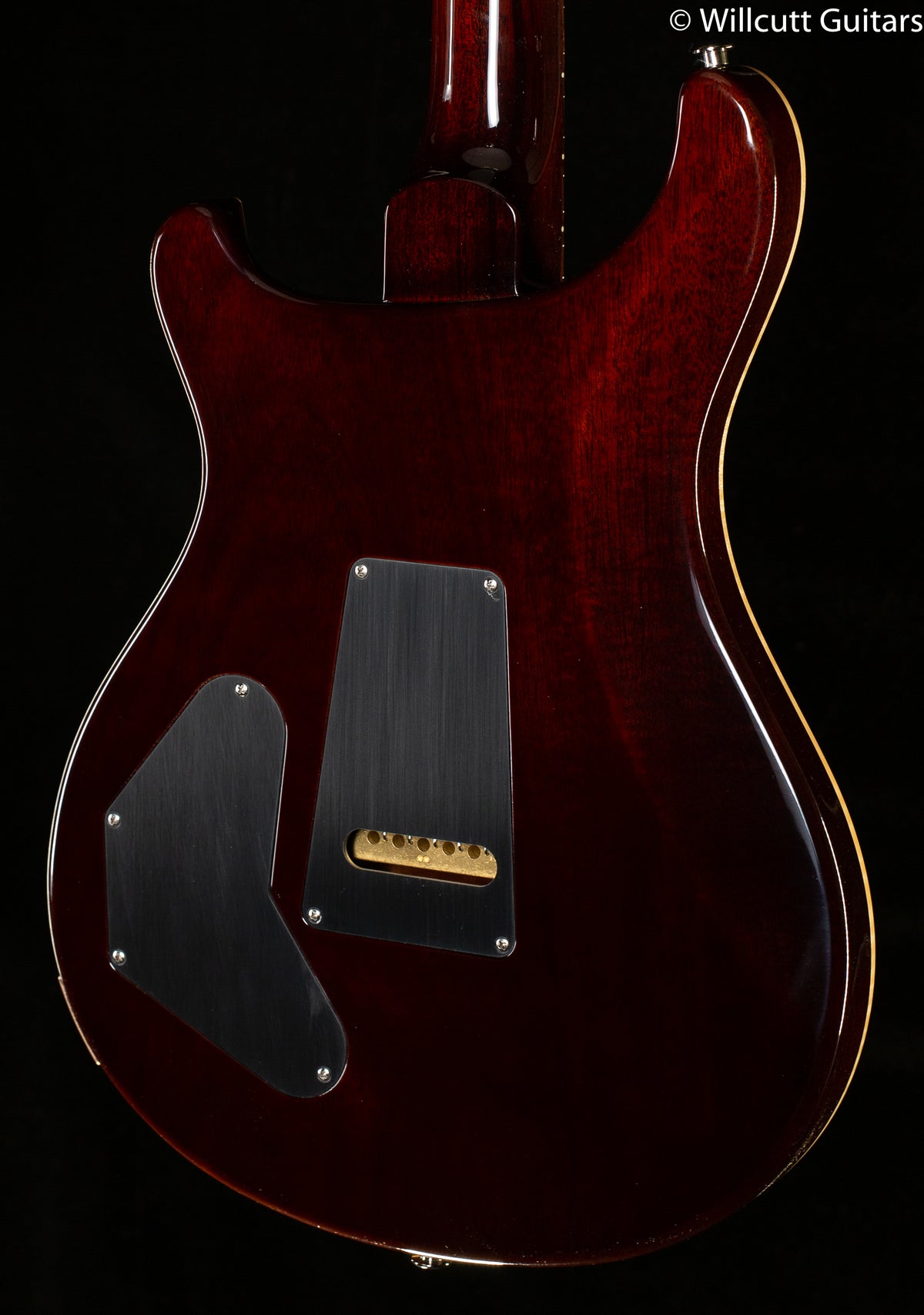 PRS DGT Gold Top Birds