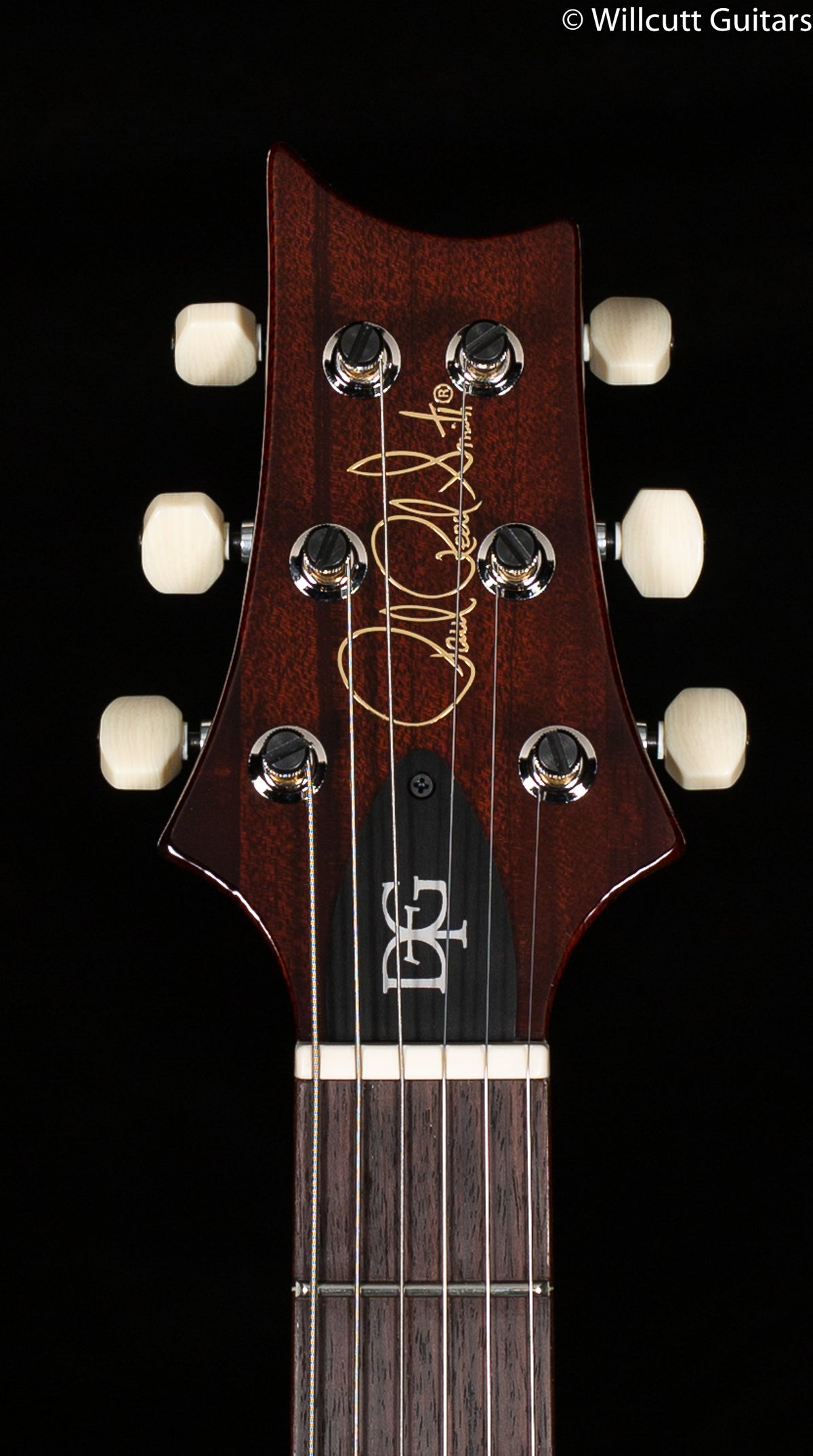 PRS DGT Gold Top Birds