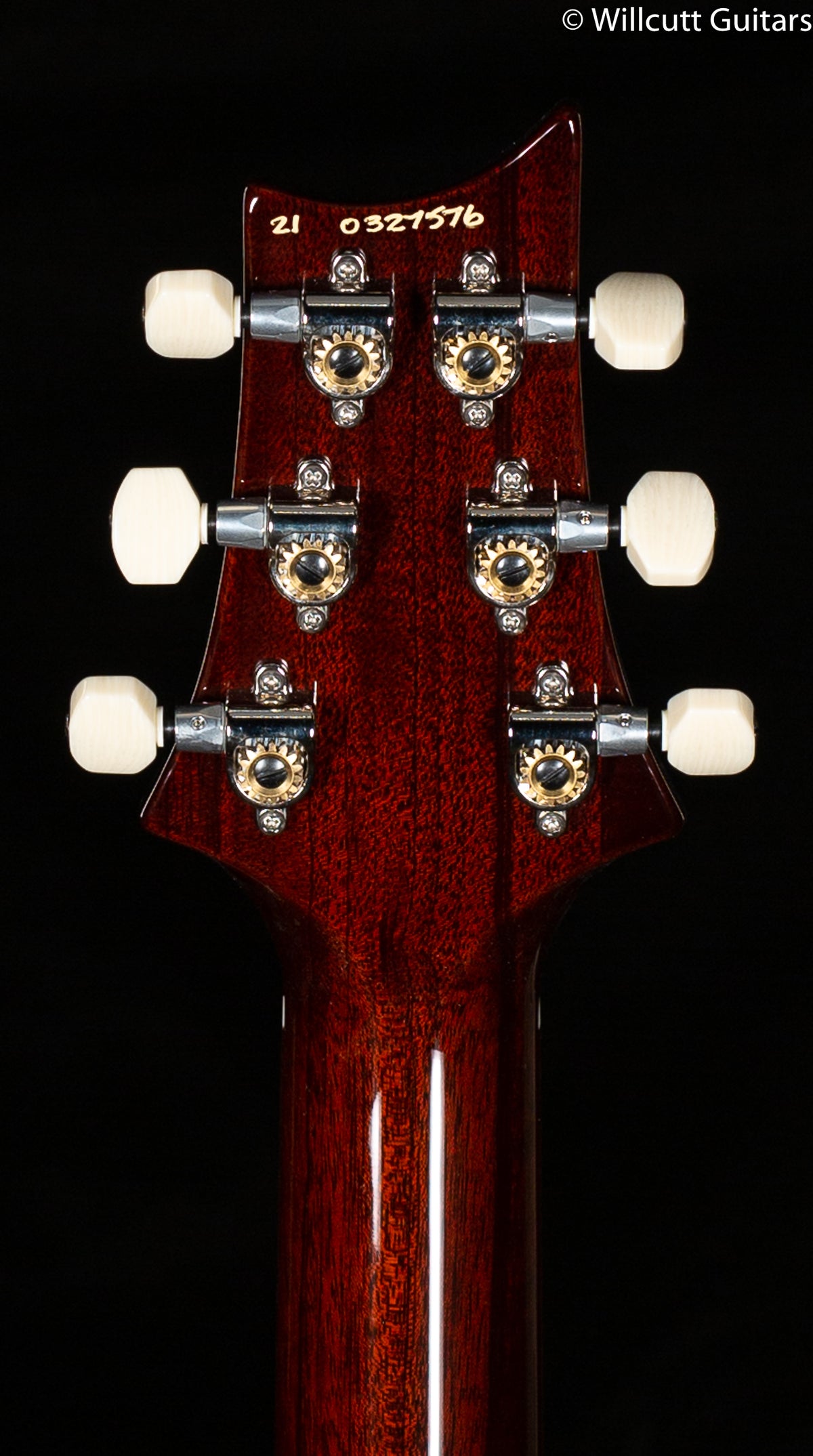 PRS DGT Gold Top Birds