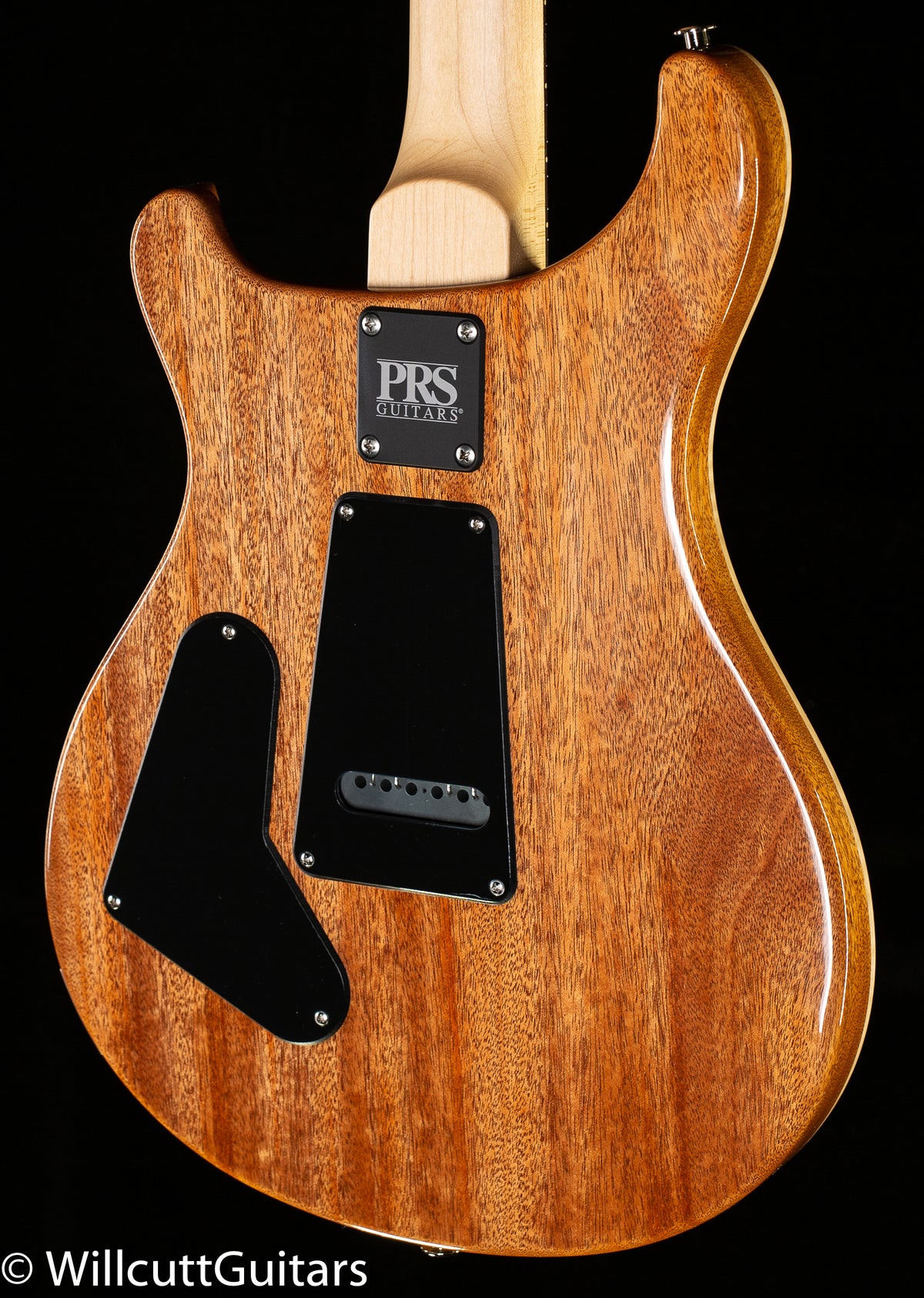 2021 PRS CE 24 Eriza Verde (046)