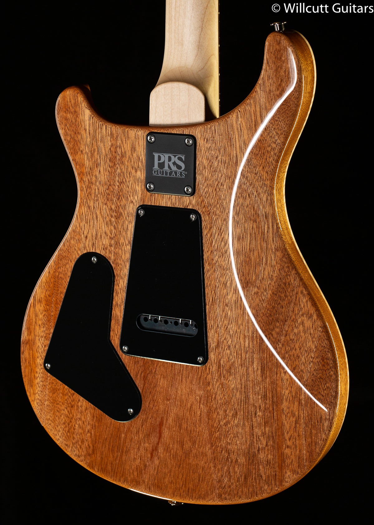 2021 PRS CE 24 Semi-Hollow Eriza Verde (677)