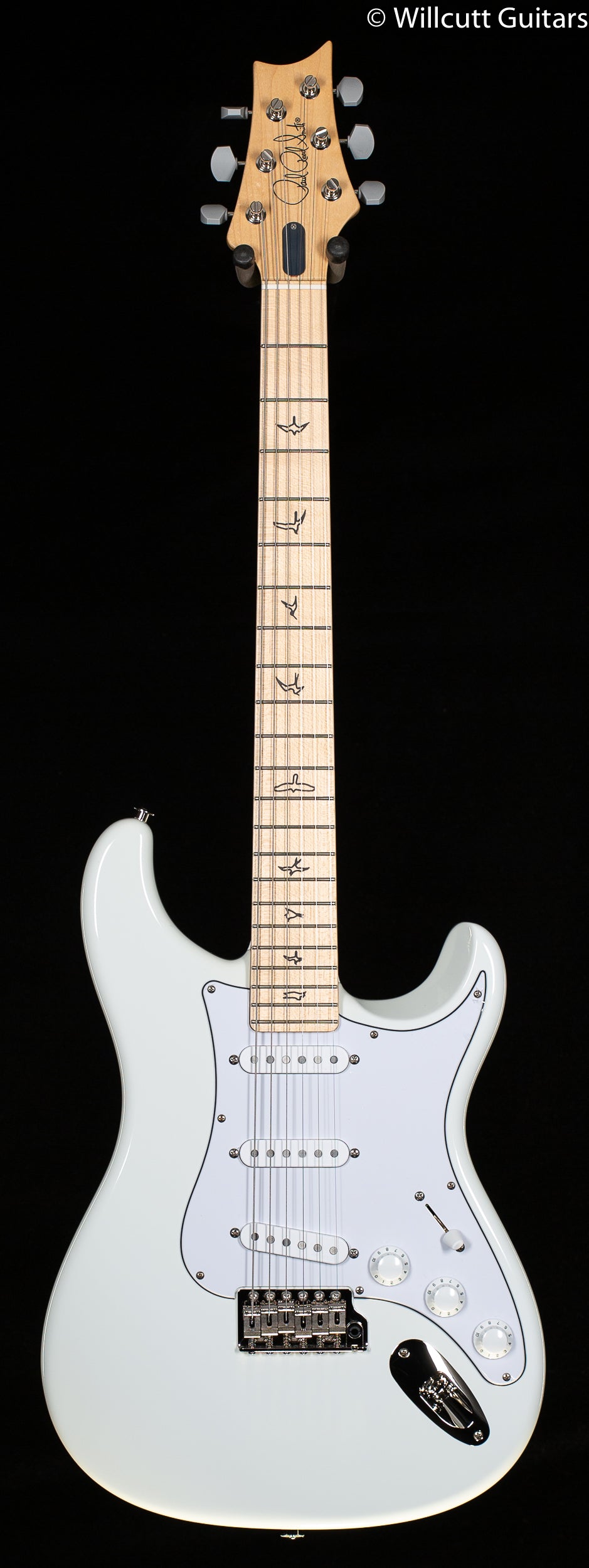 Silver sky deals maple neck