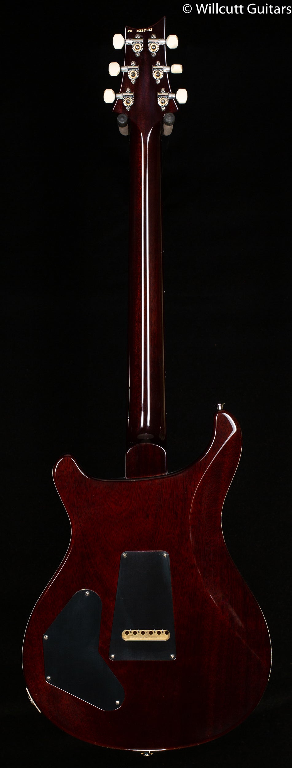 PRS DGT Gold Top Birds