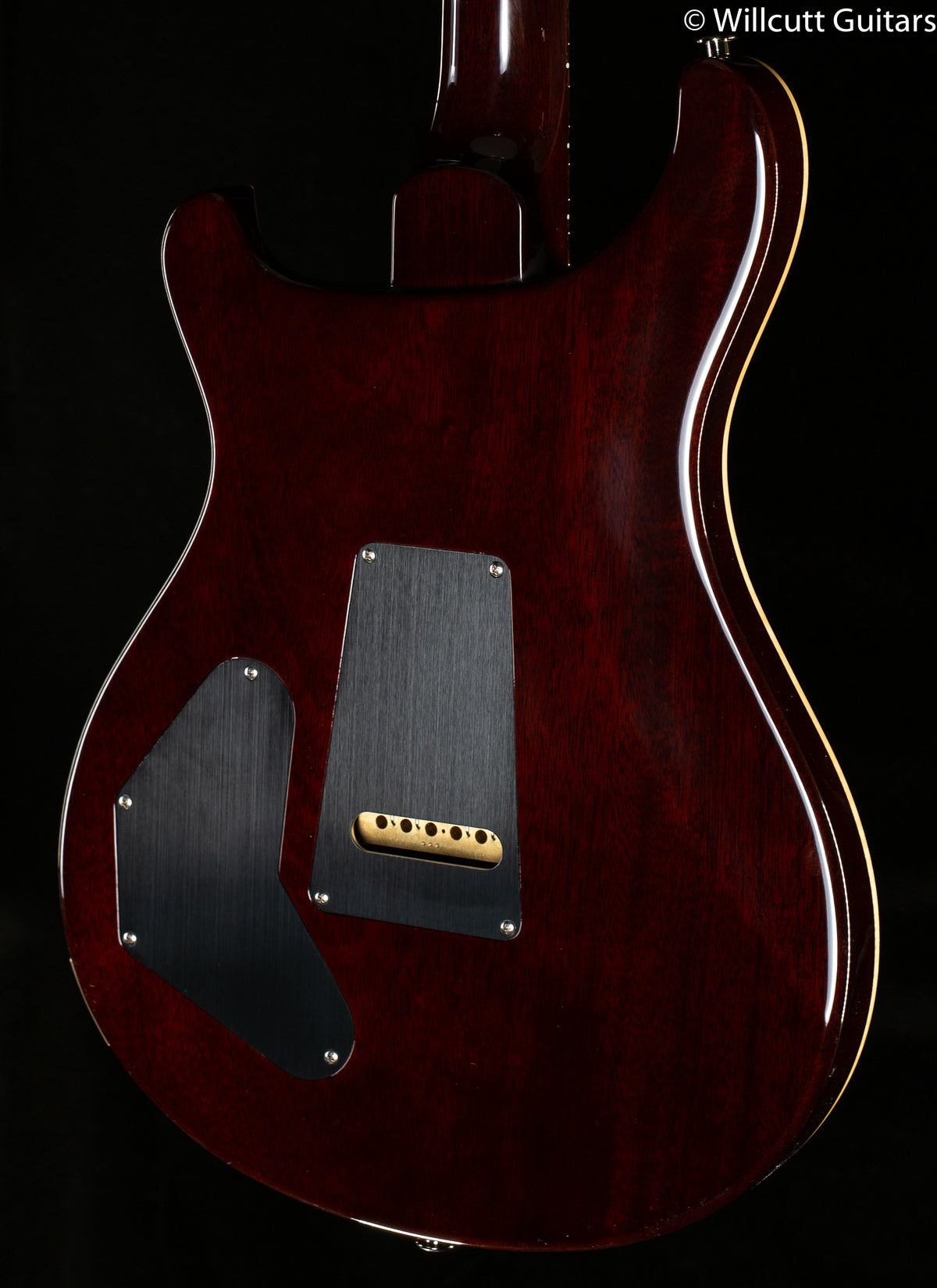 PRS DGT Gold Top Birds