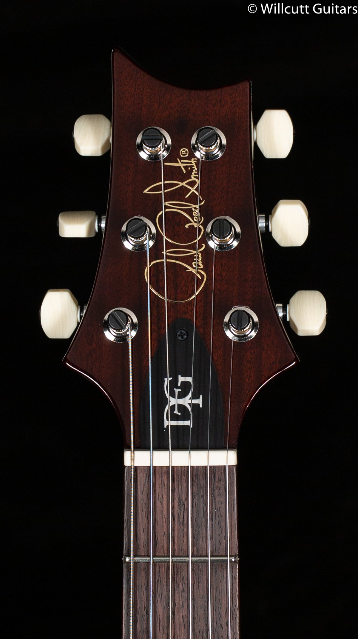PRS DGT Gold Top Birds