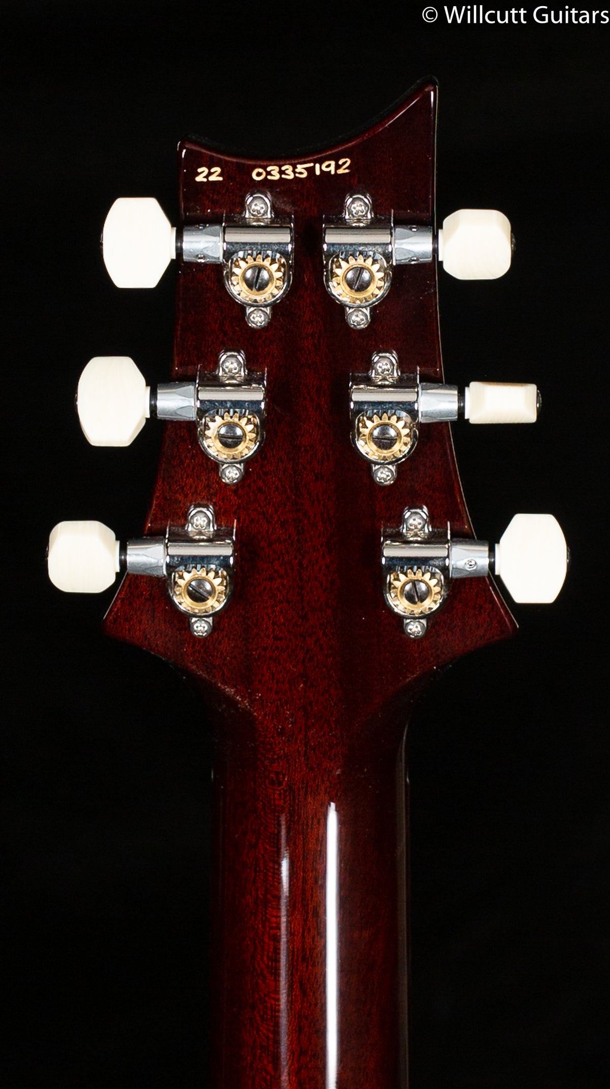 PRS DGT Gold Top Birds