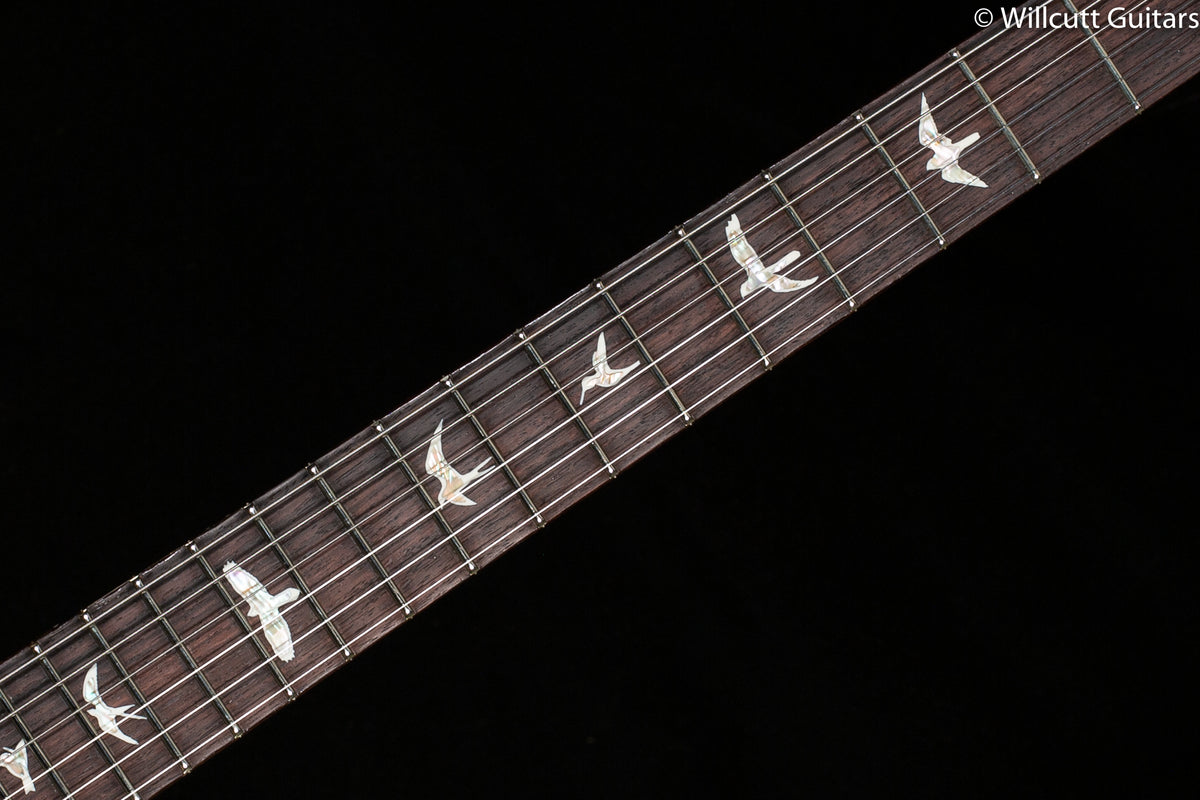 PRS DGT Gold Top Birds