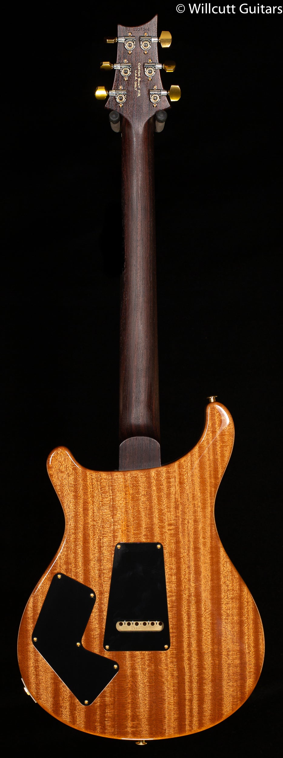 PRS Wood Library Modern Eagle V, Artist Quilt Aquableux (346)