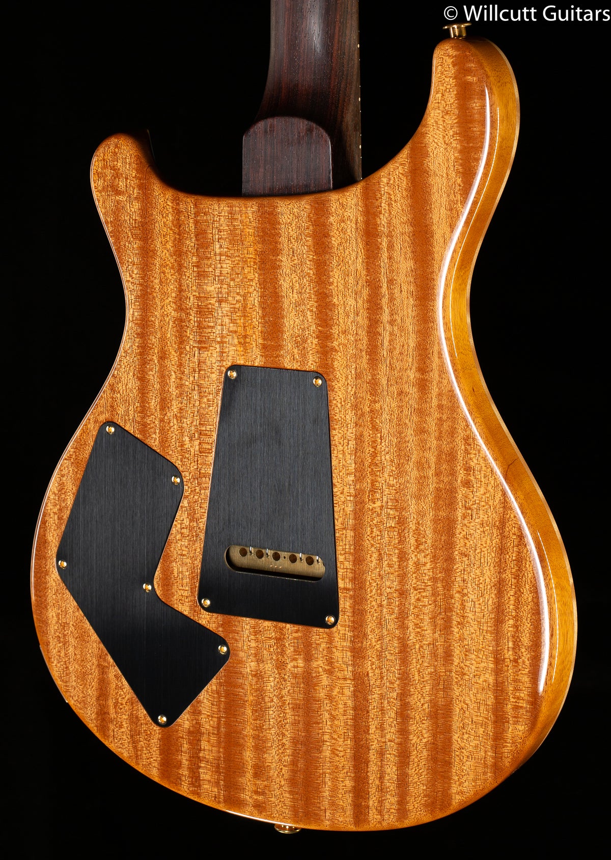 PRS Wood Library Modern Eagle V, Artist Quilt Aquableux (346)
