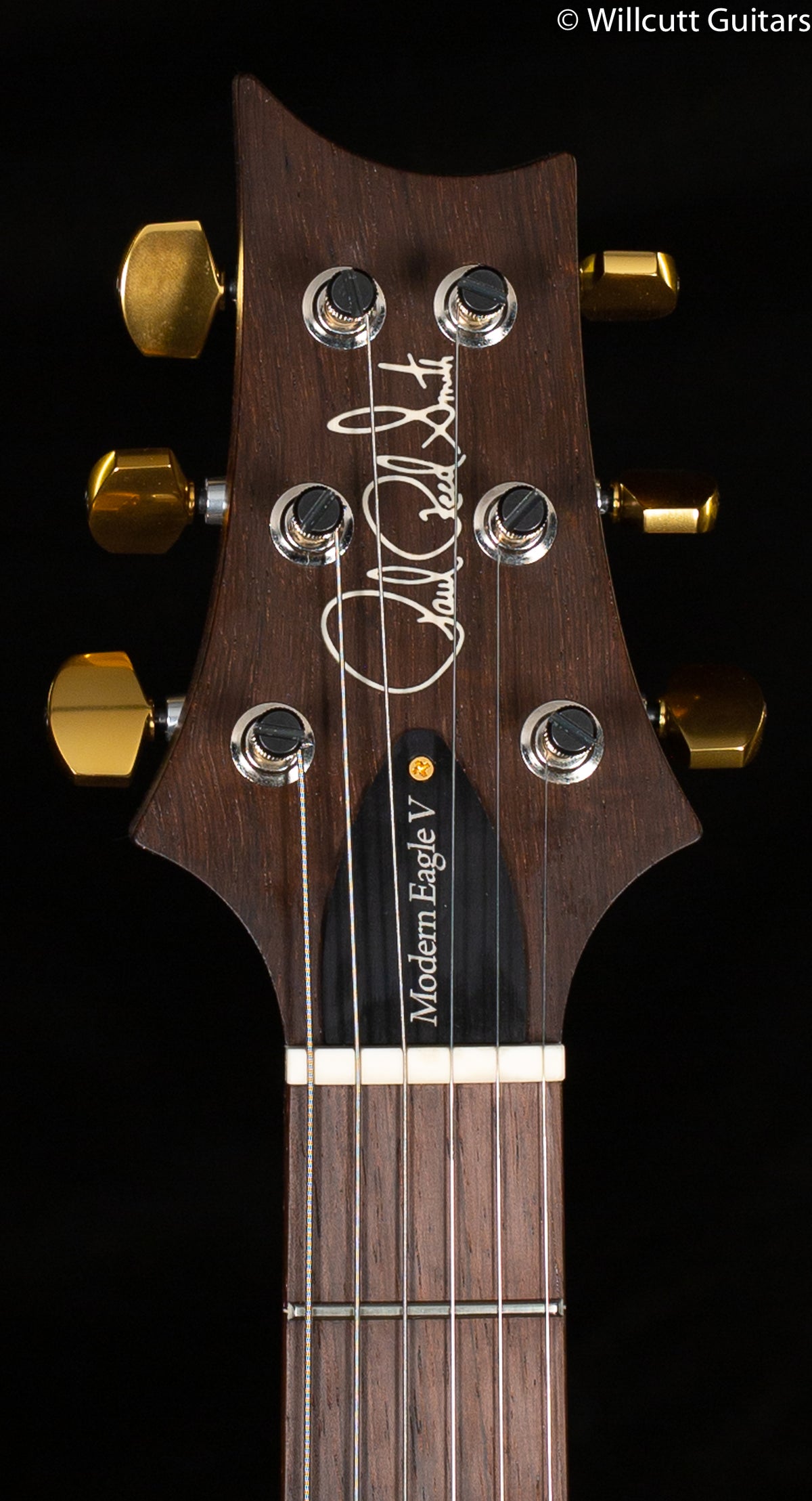 PRS Wood Library Modern Eagle V, Artist Quilt Aquableux (346)