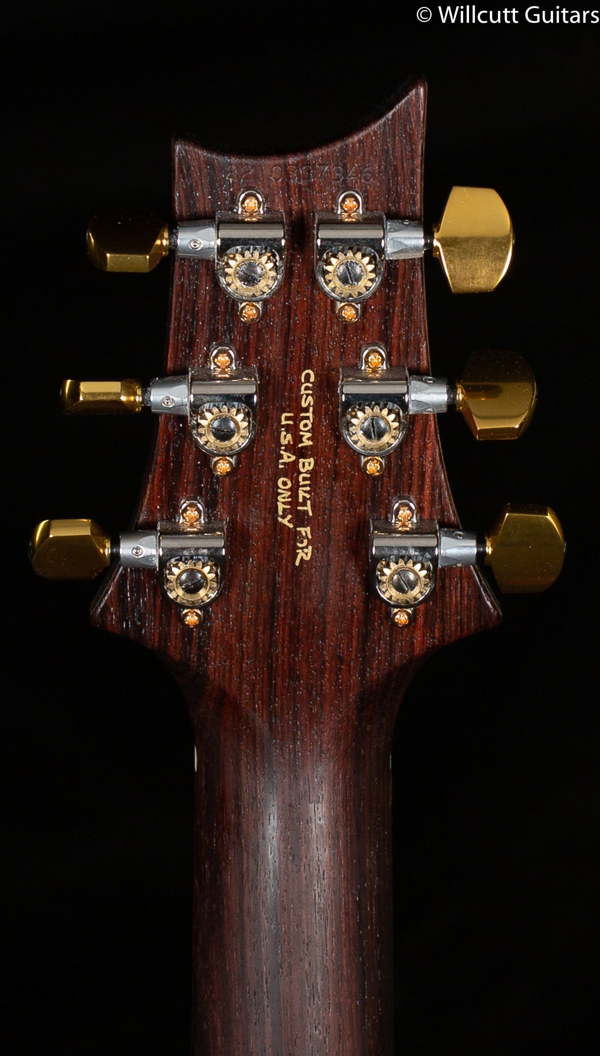 PRS Wood Library Modern Eagle V, Artist Quilt Aquableux (346)