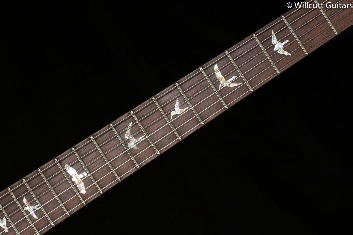 PRS Wood Library Modern Eagle V, Artist Quilt Aquableux (346)
