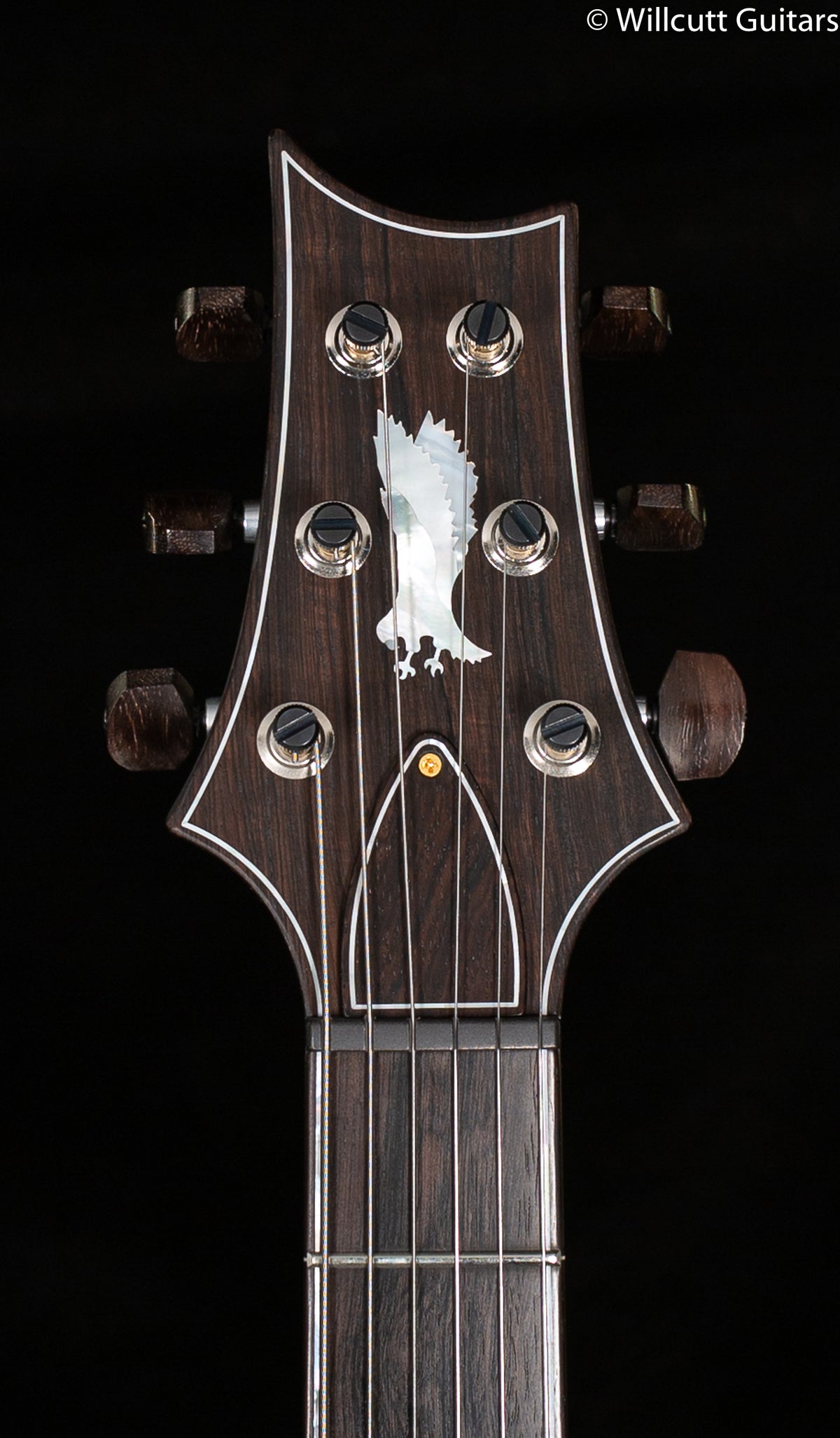 PRS Private Stock #9453 Special Semi-Hollow 24 Ziricote