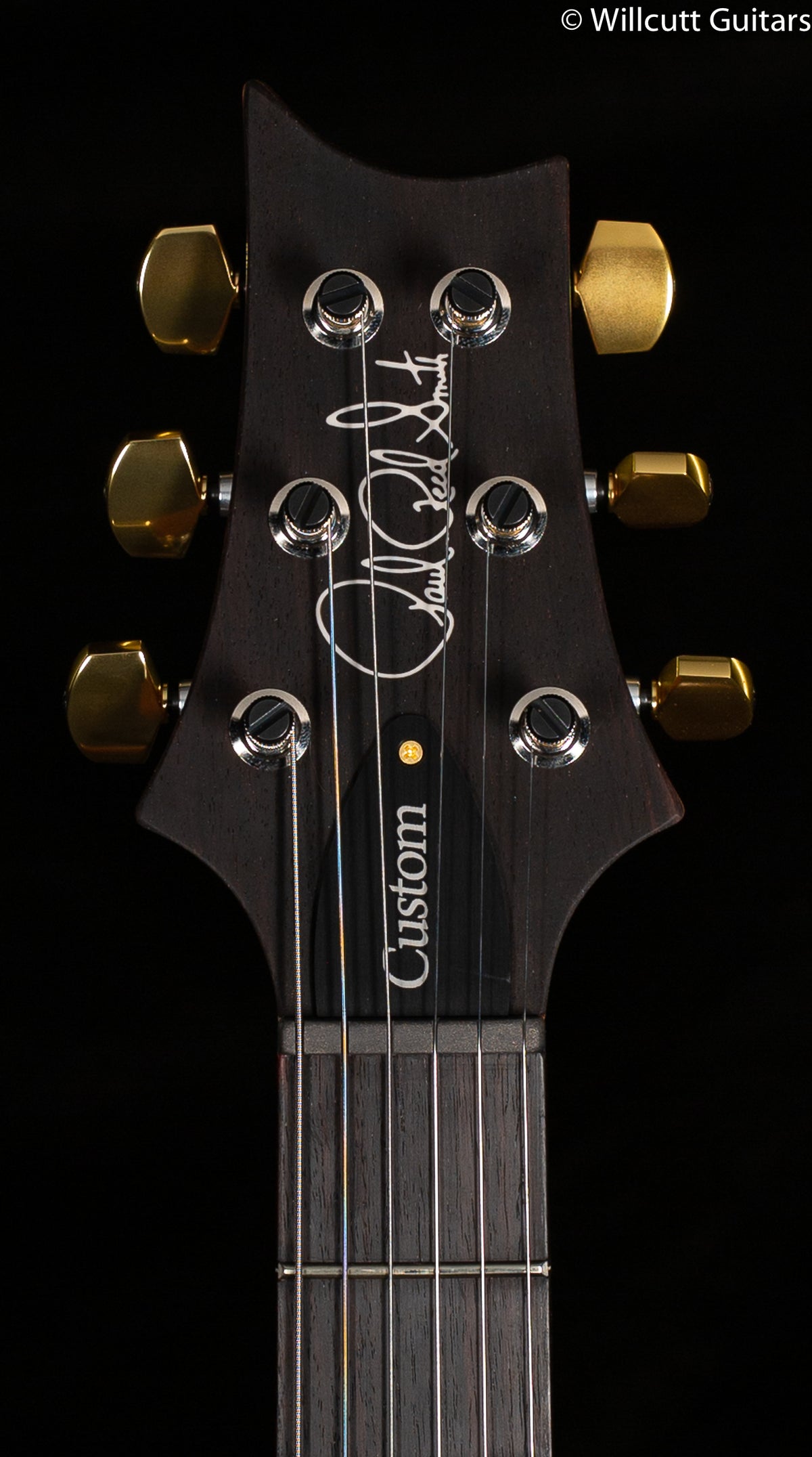 PRS Custom 24 Purple Iris 10 Top