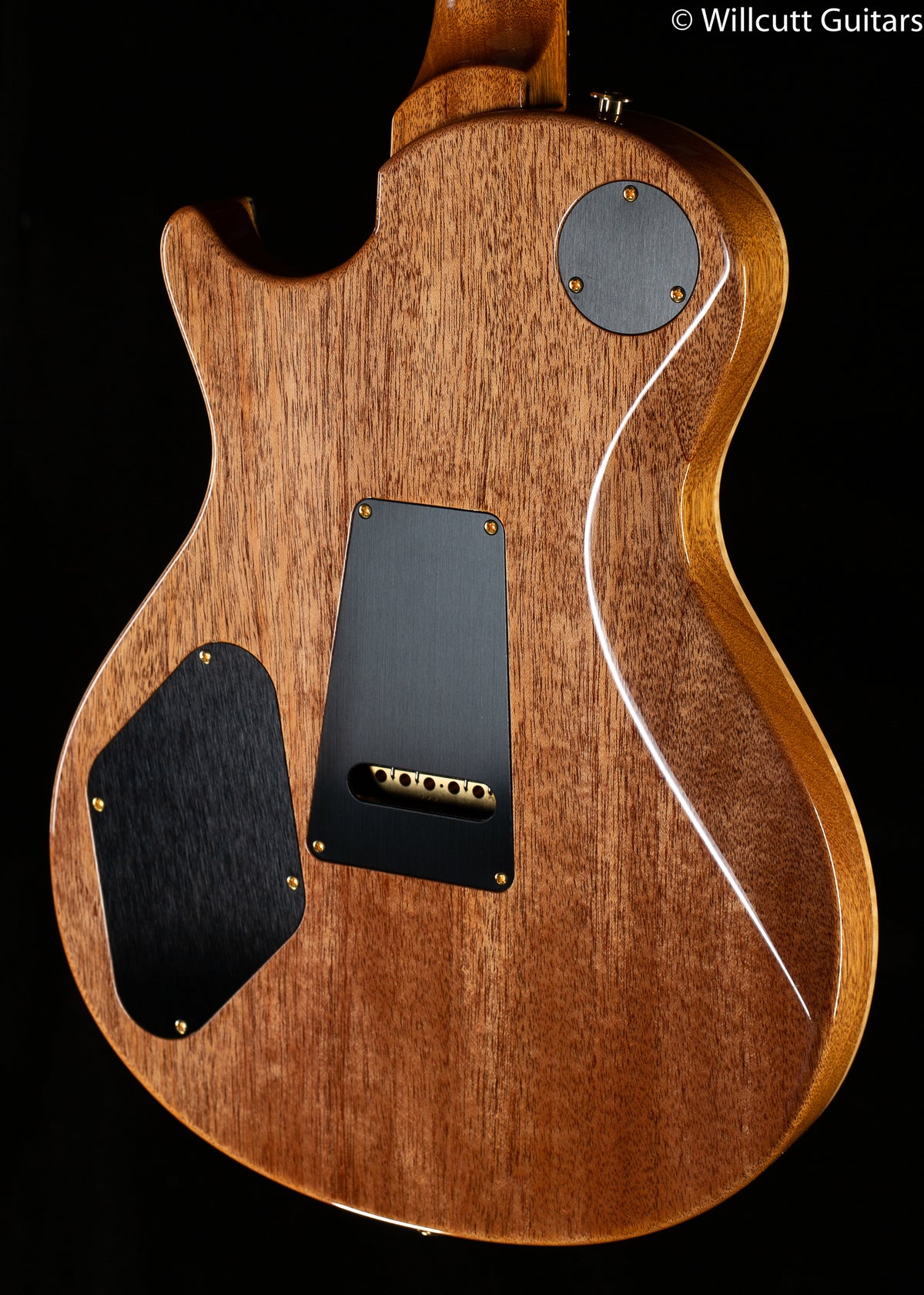 PRS Tremonti Signature 10 top Purple Iris (691)