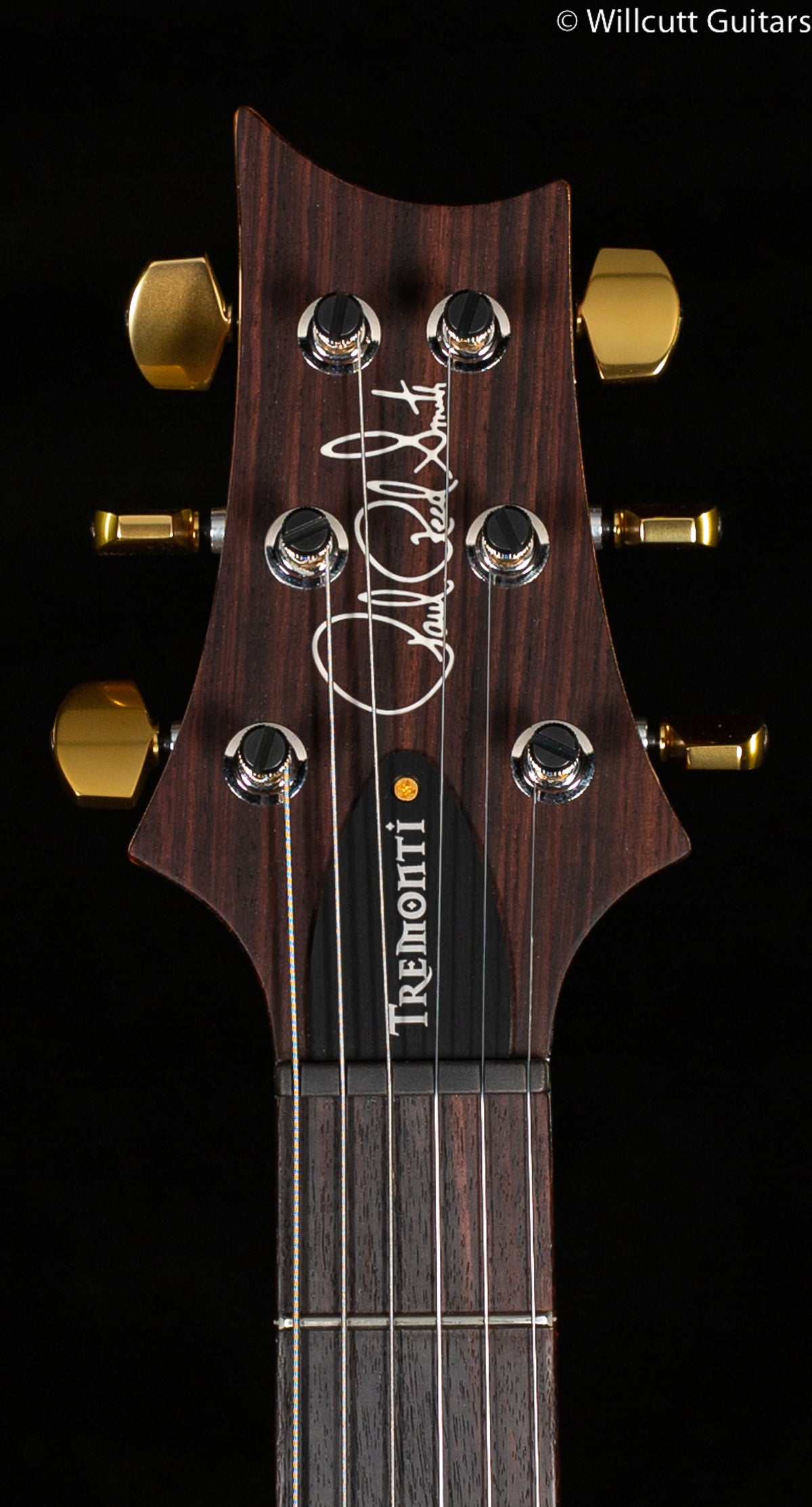 PRS Tremonti Signature 10 top Purple Iris (691)