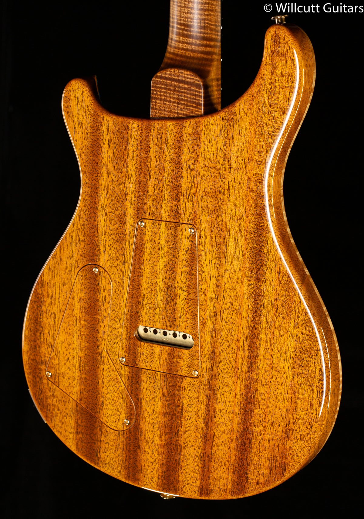 PRS Private Stock 9883 Custom 22 Beach Fade Koi Inlay (737)