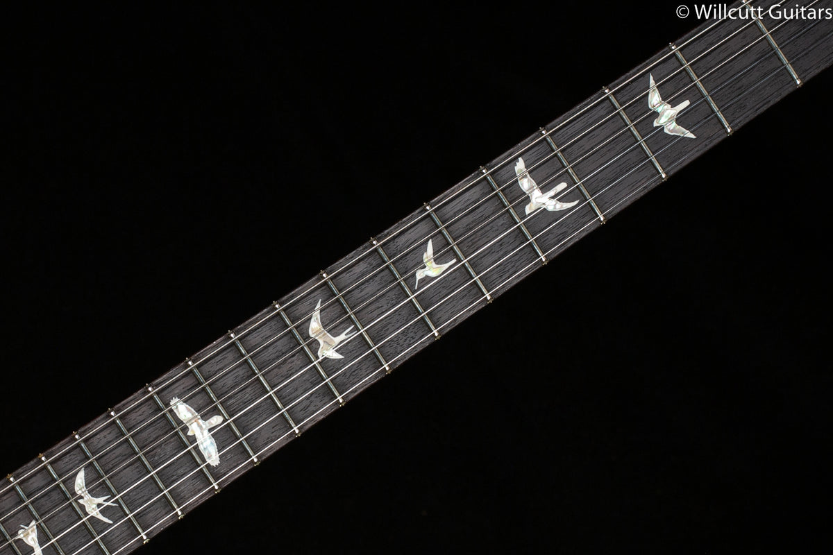 PRS DGT Eriza Verde 10 Top (803)