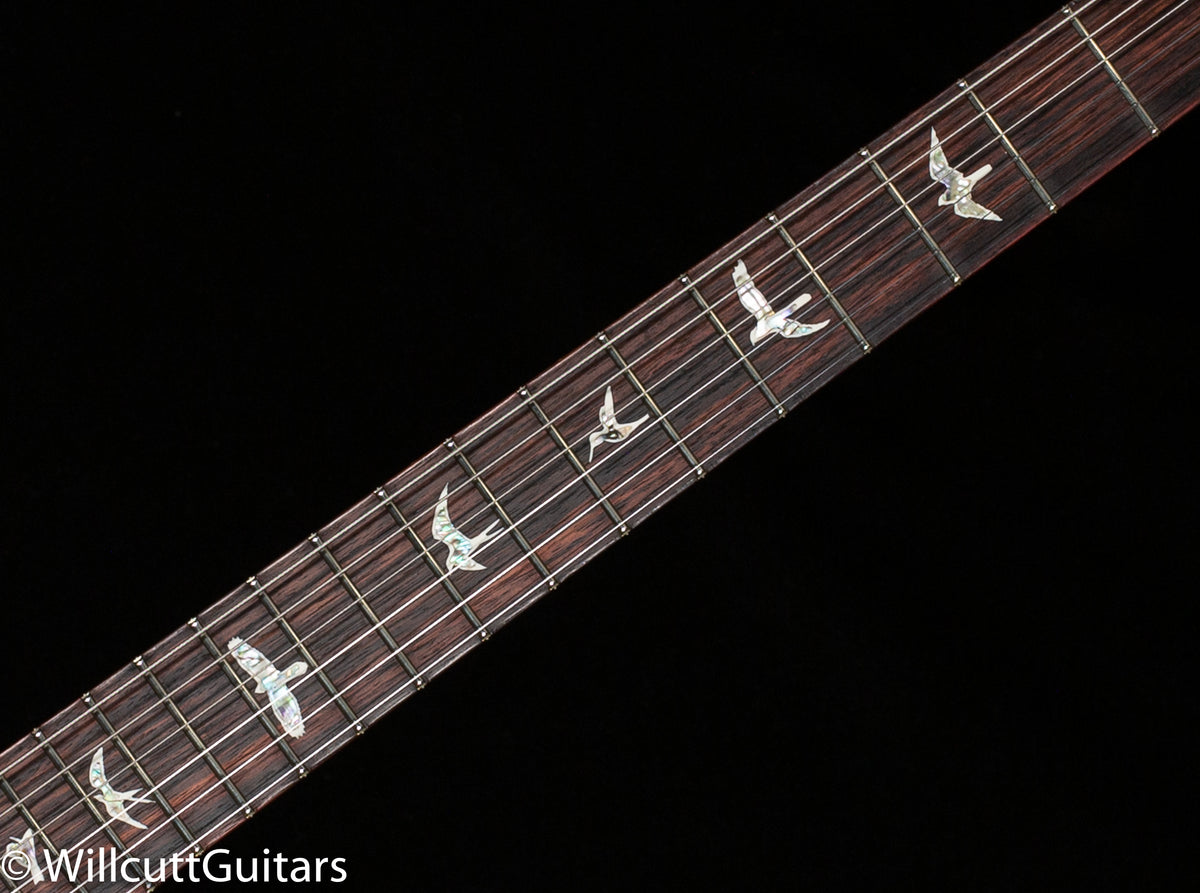 PRS DGT Custom Color Eriza Verde Green Burst (678)