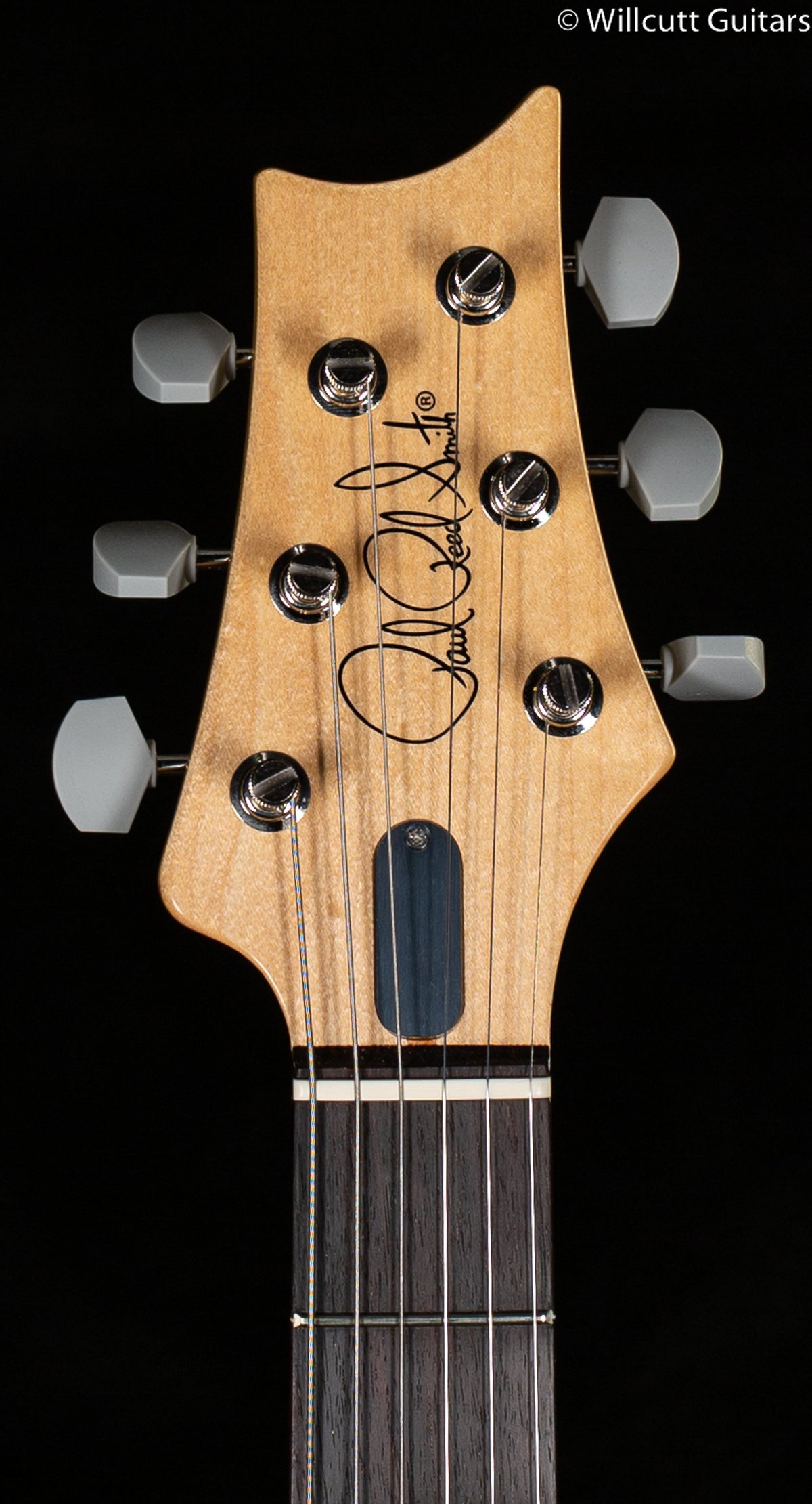 PRS John Mayer Silver Sky Frost Rosewood (166)
