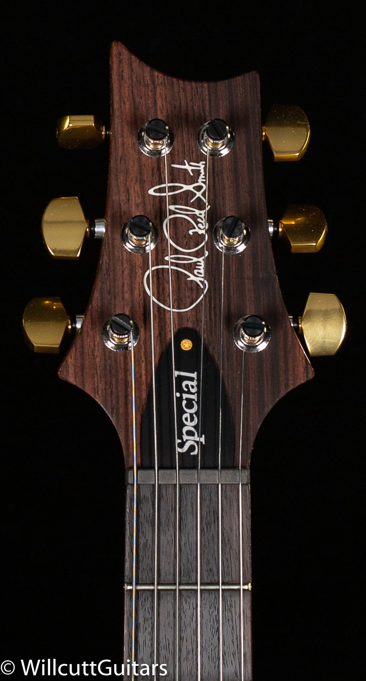 2022 PRS Special Semi-Hollow Eriza Verde 10 Top (843)